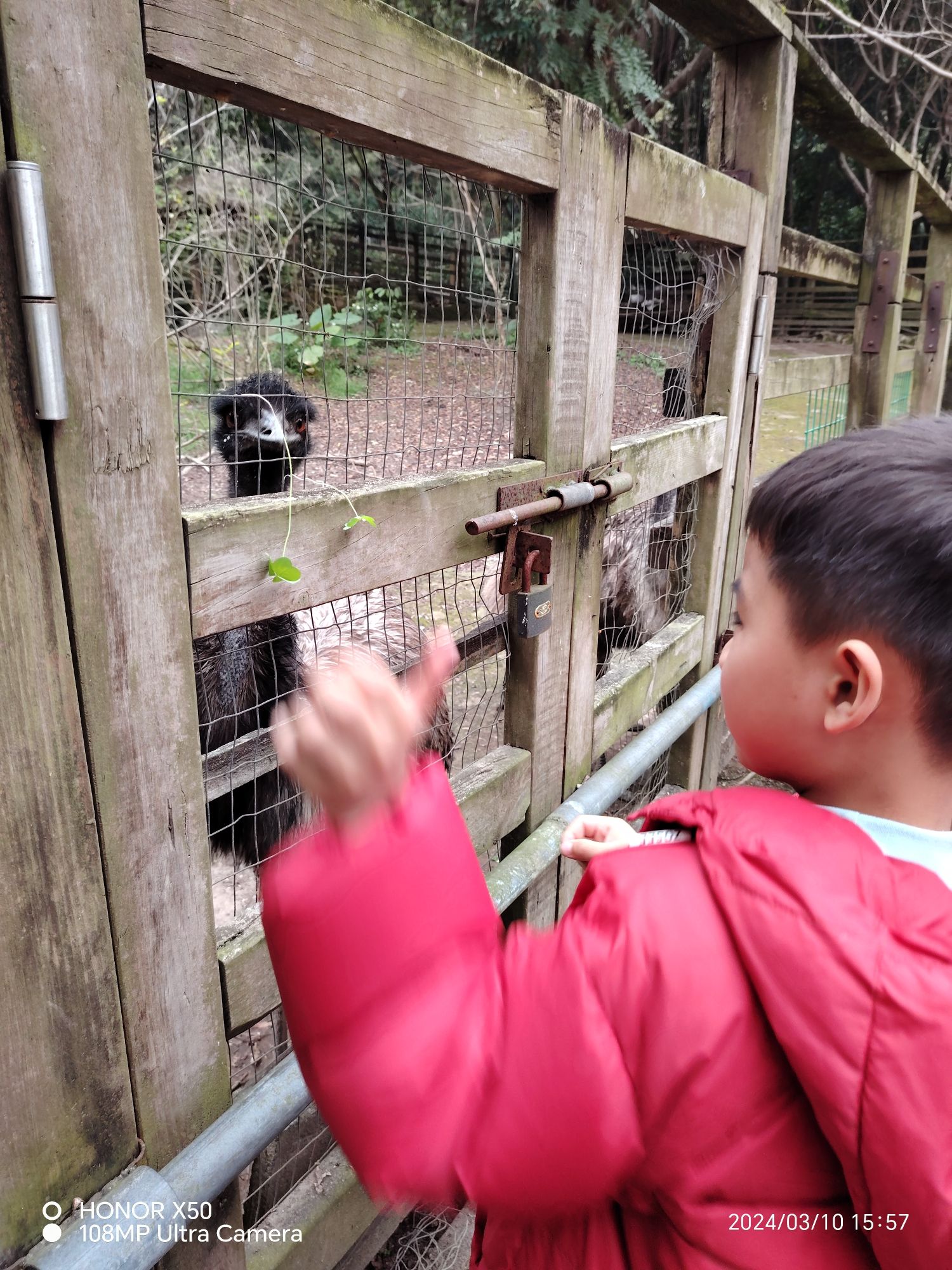 福州动物园旅行图片 3