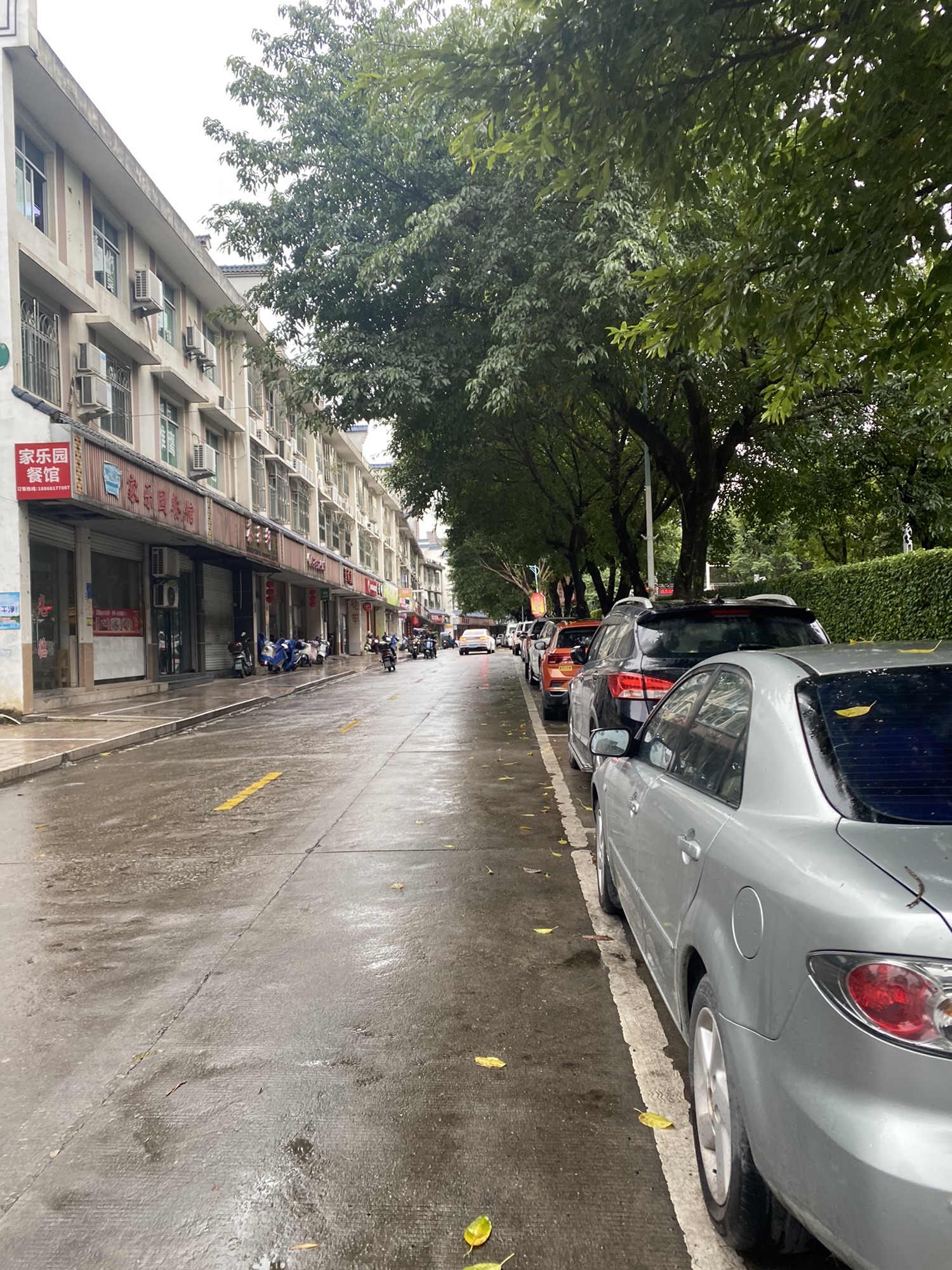 福建省昙石山遗址博物馆旅行图片 3