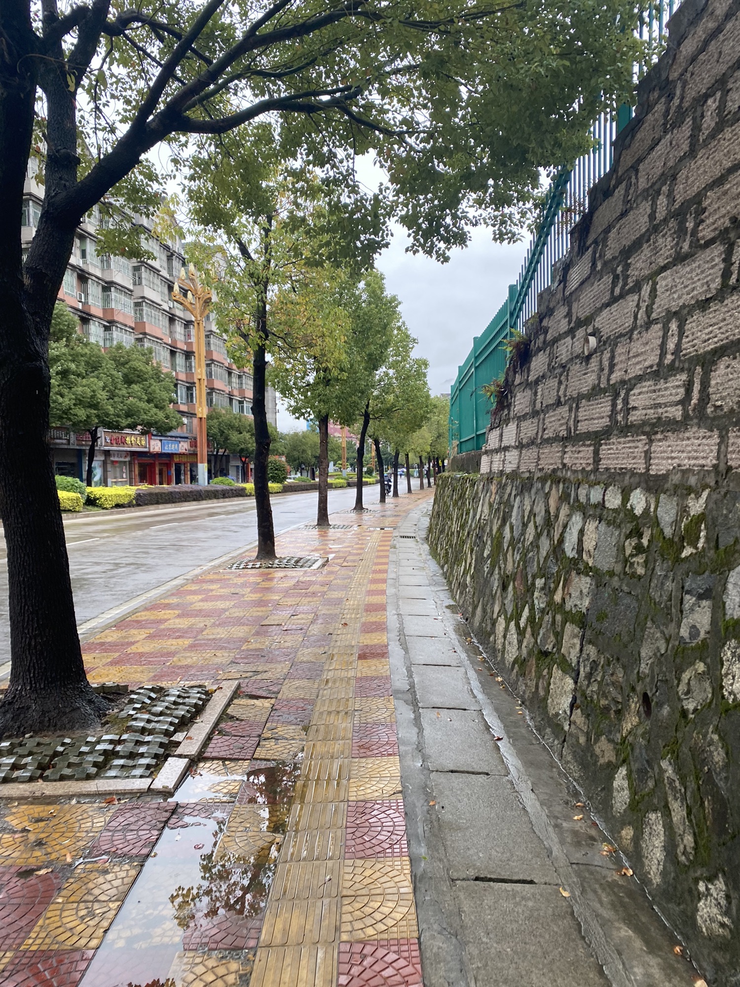 福建省昙石山遗址博物馆旅行图片 1