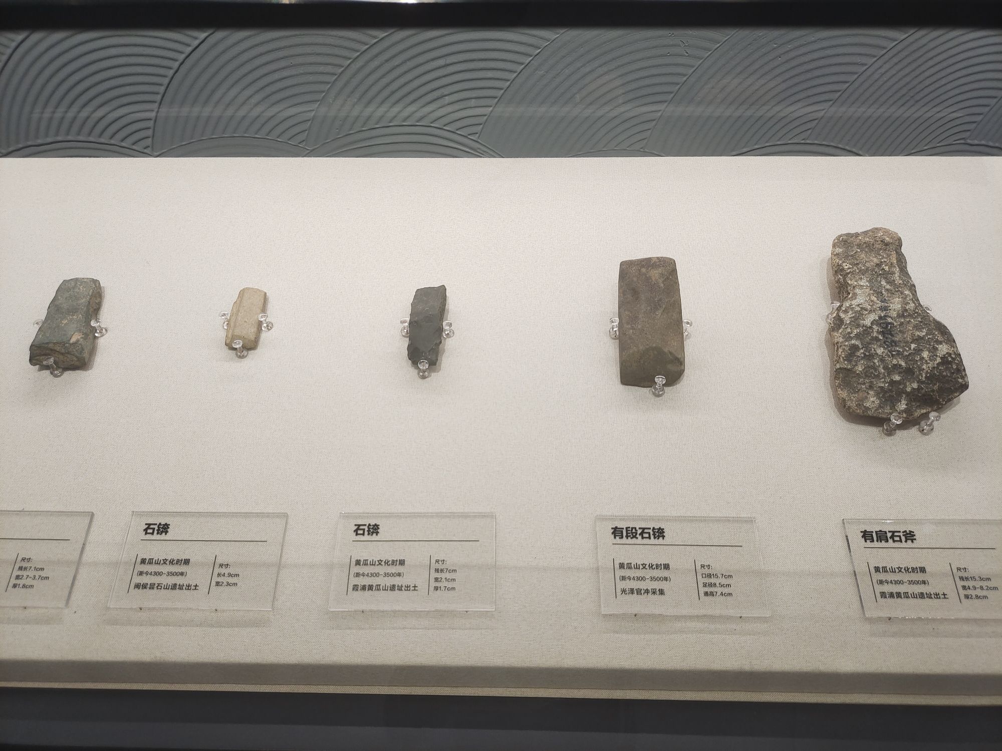 福建省昙石山遗址博物馆旅行图片 3