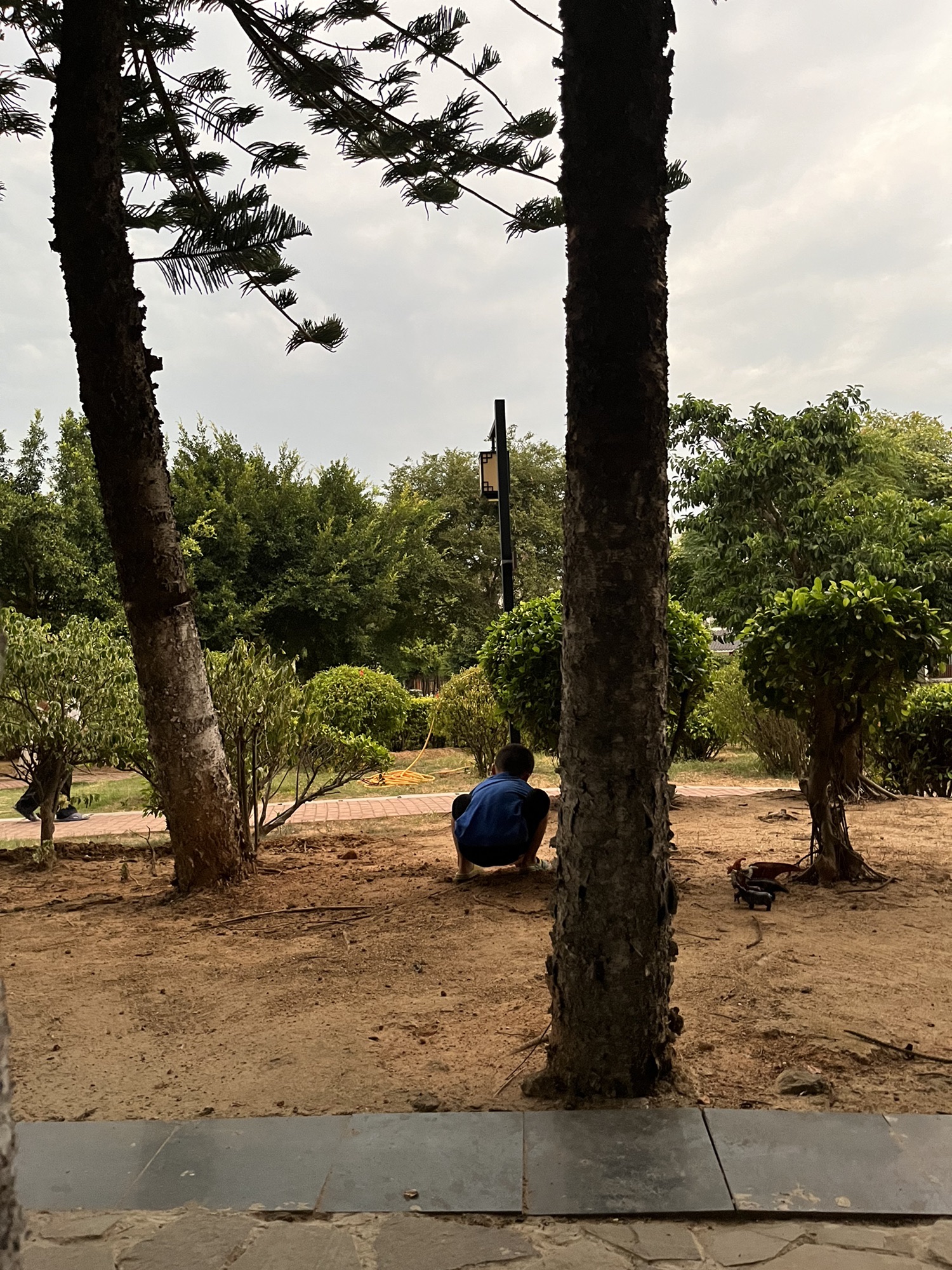 翠园公园旅行图片 1