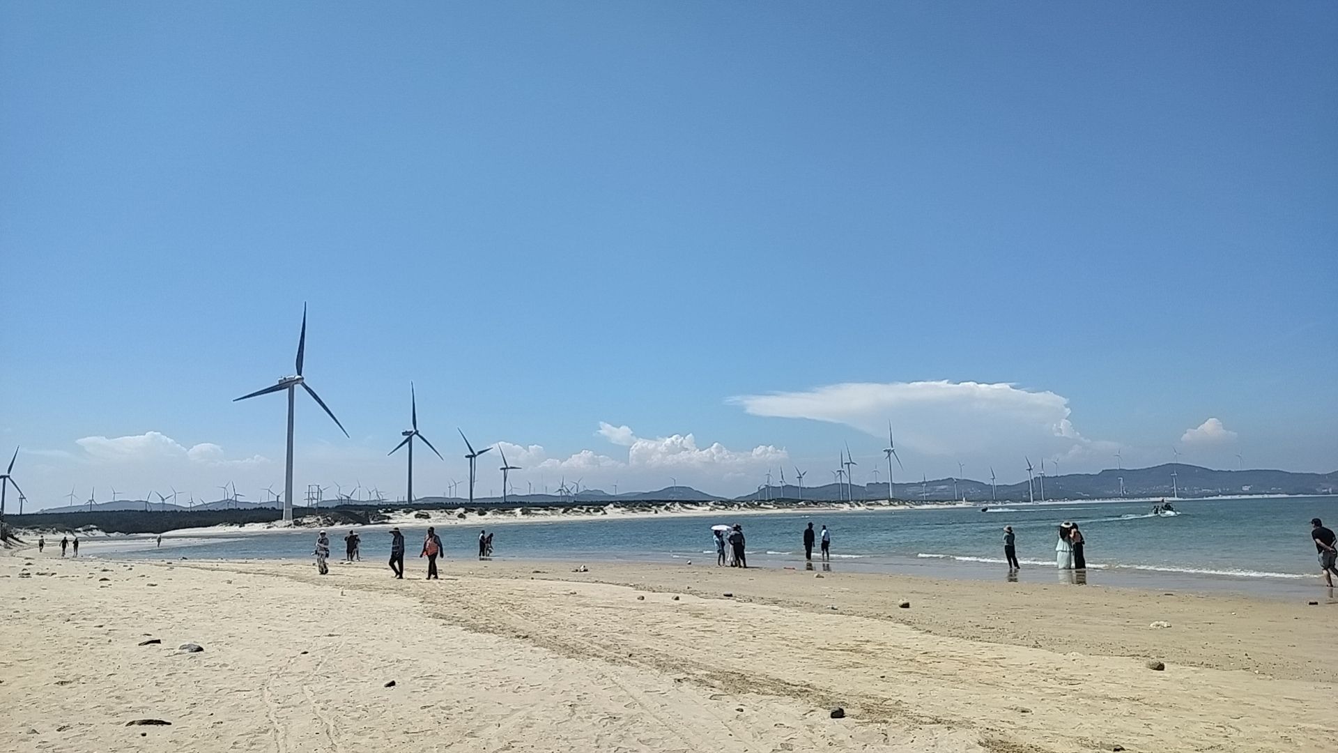龙王头海洋公园旅行图片 2