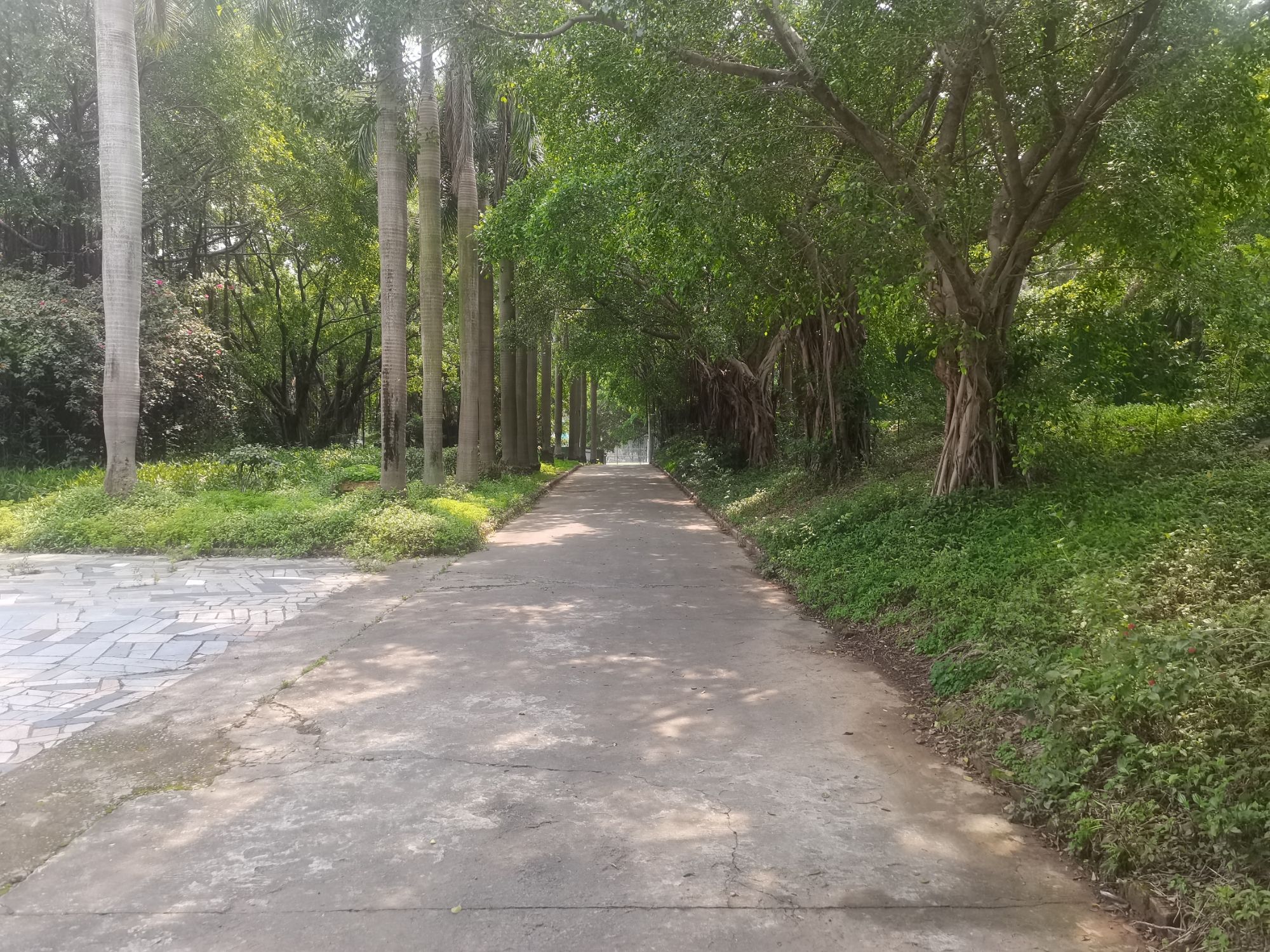 鳌峰公园旅行图片 3