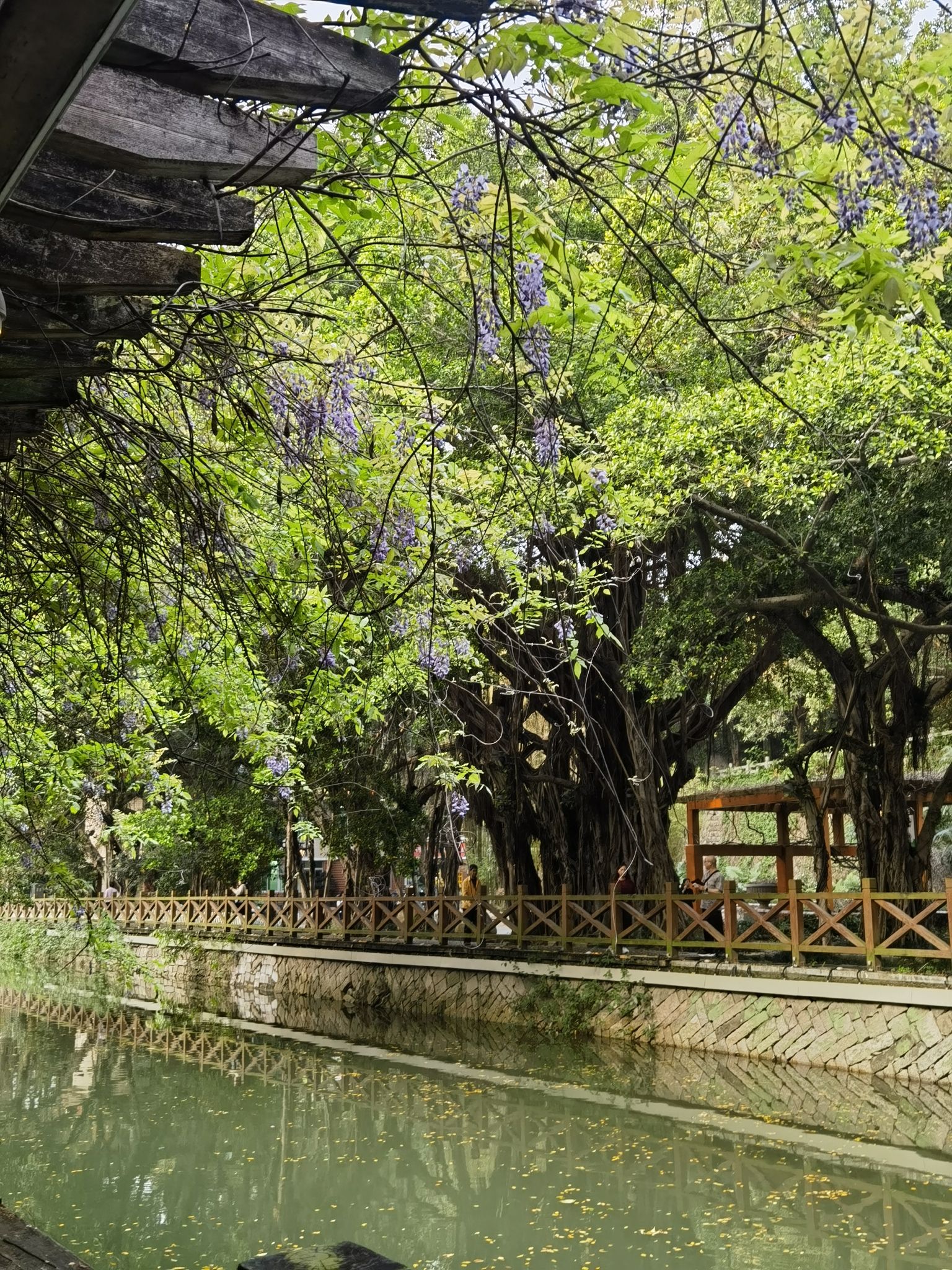 白马河公园旅行图片 3