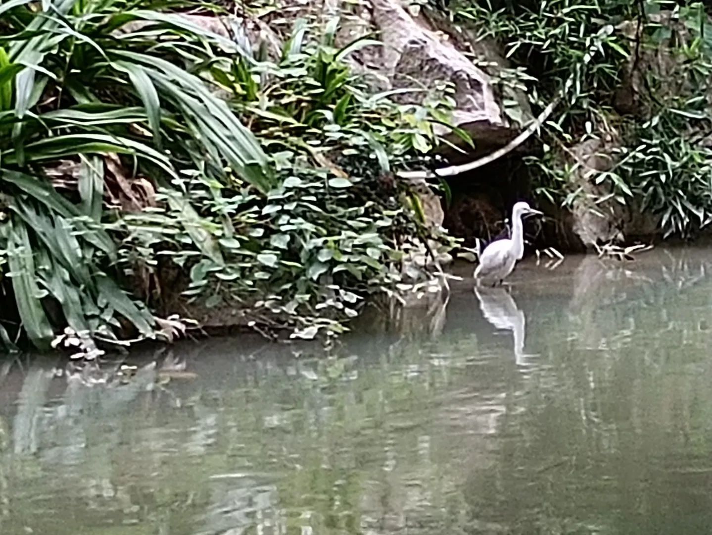 白马河公园旅行图片 3