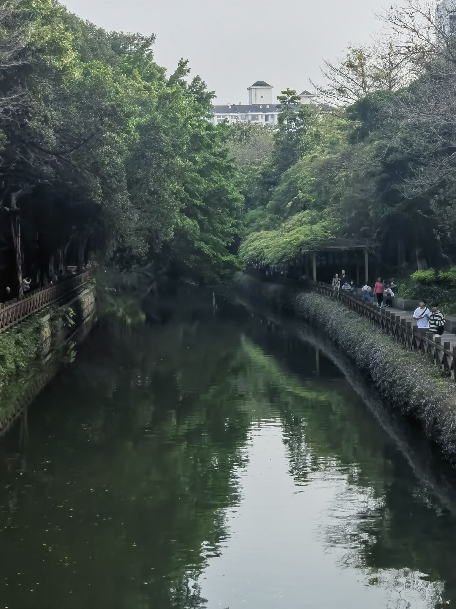 白马河公园旅行图片 2