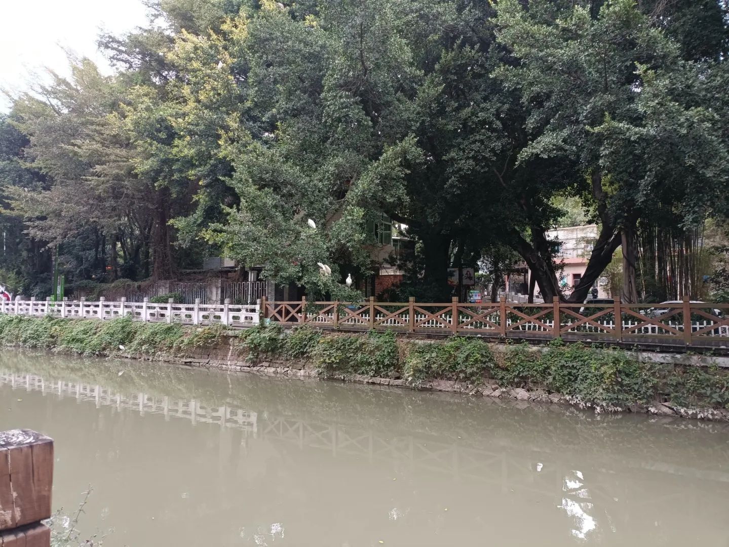 白马河公园旅行图片 1