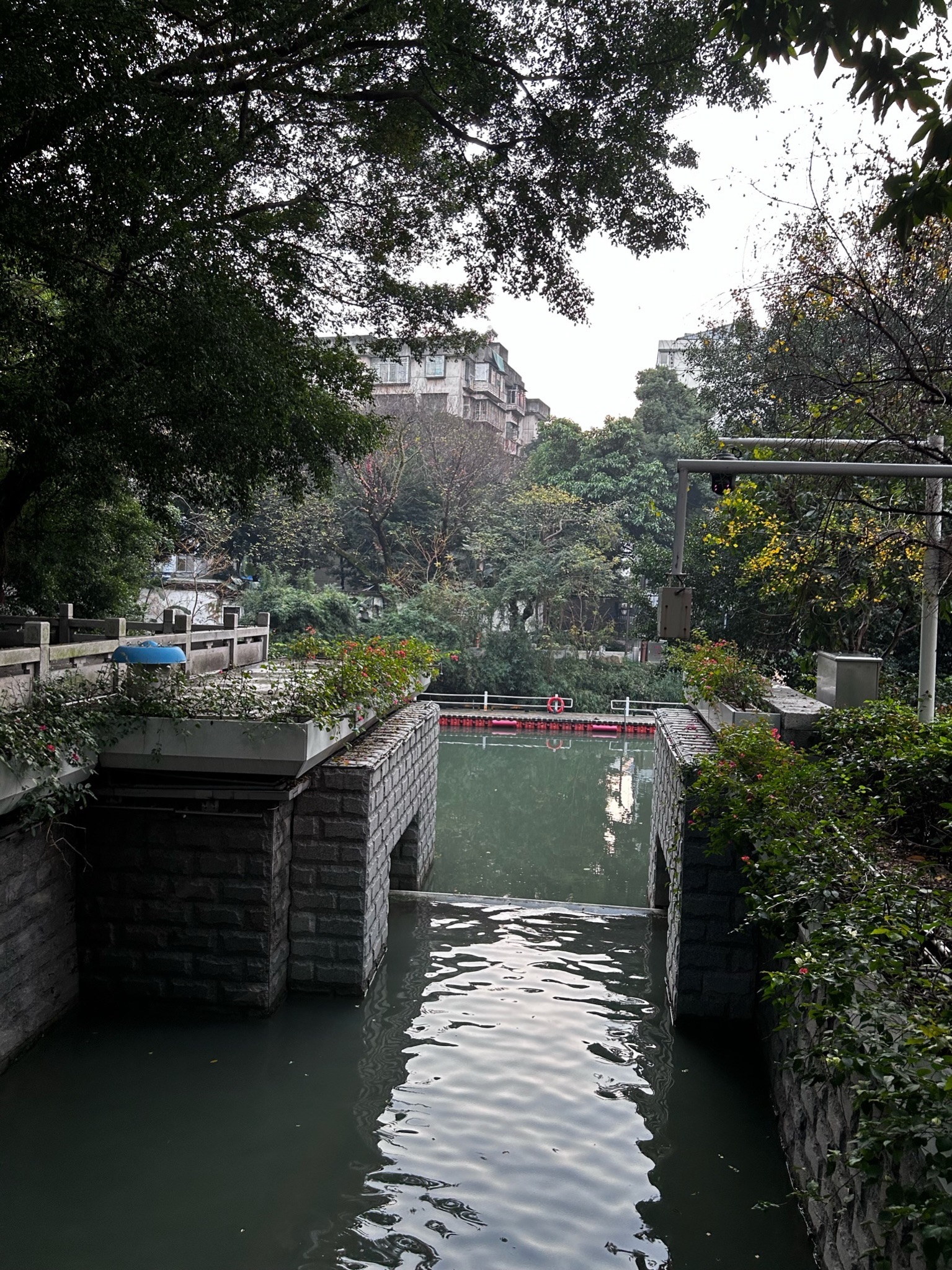 白马河公园旅行图片 3