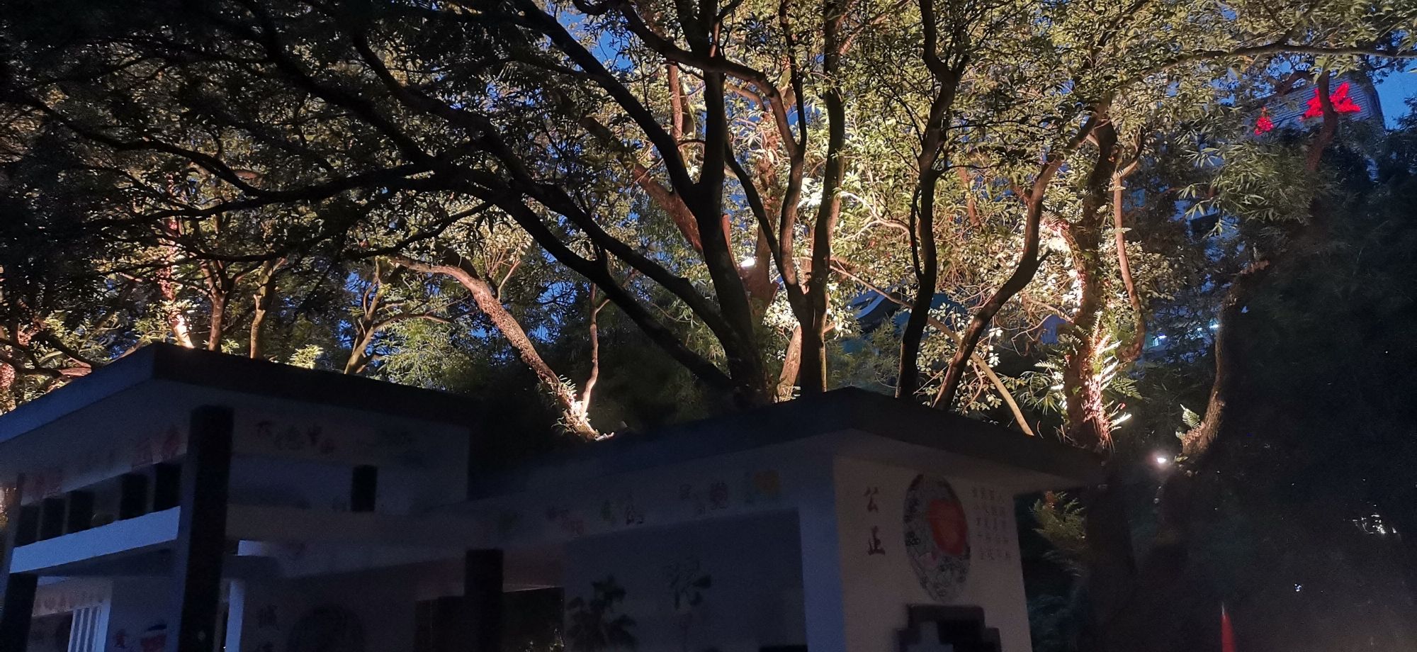 白马河公园旅行图片 1