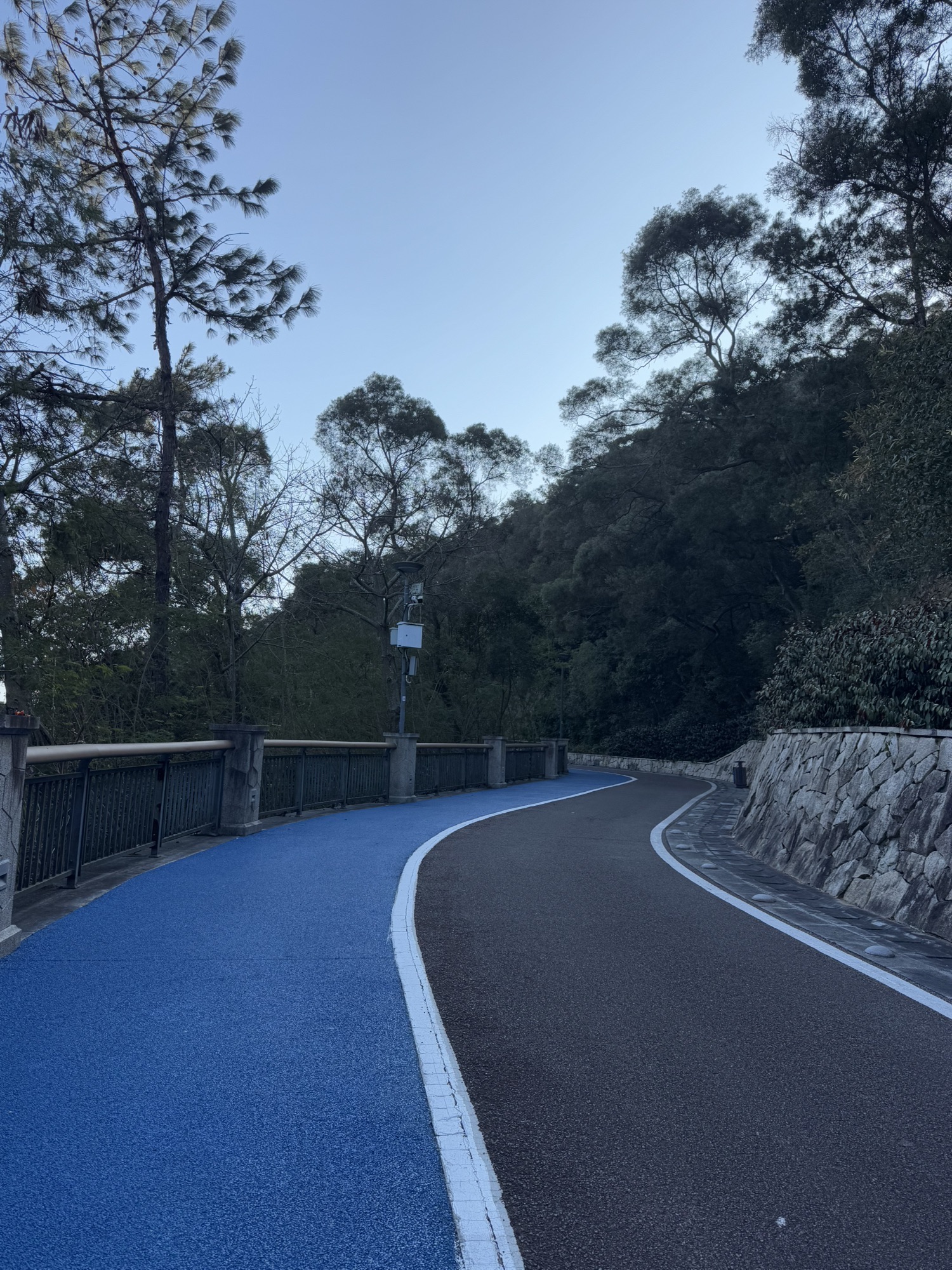 天马山公园旅行图片 2