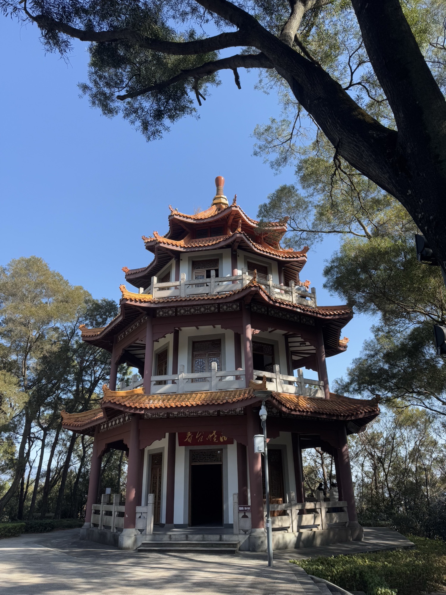 天马山公园旅行图片