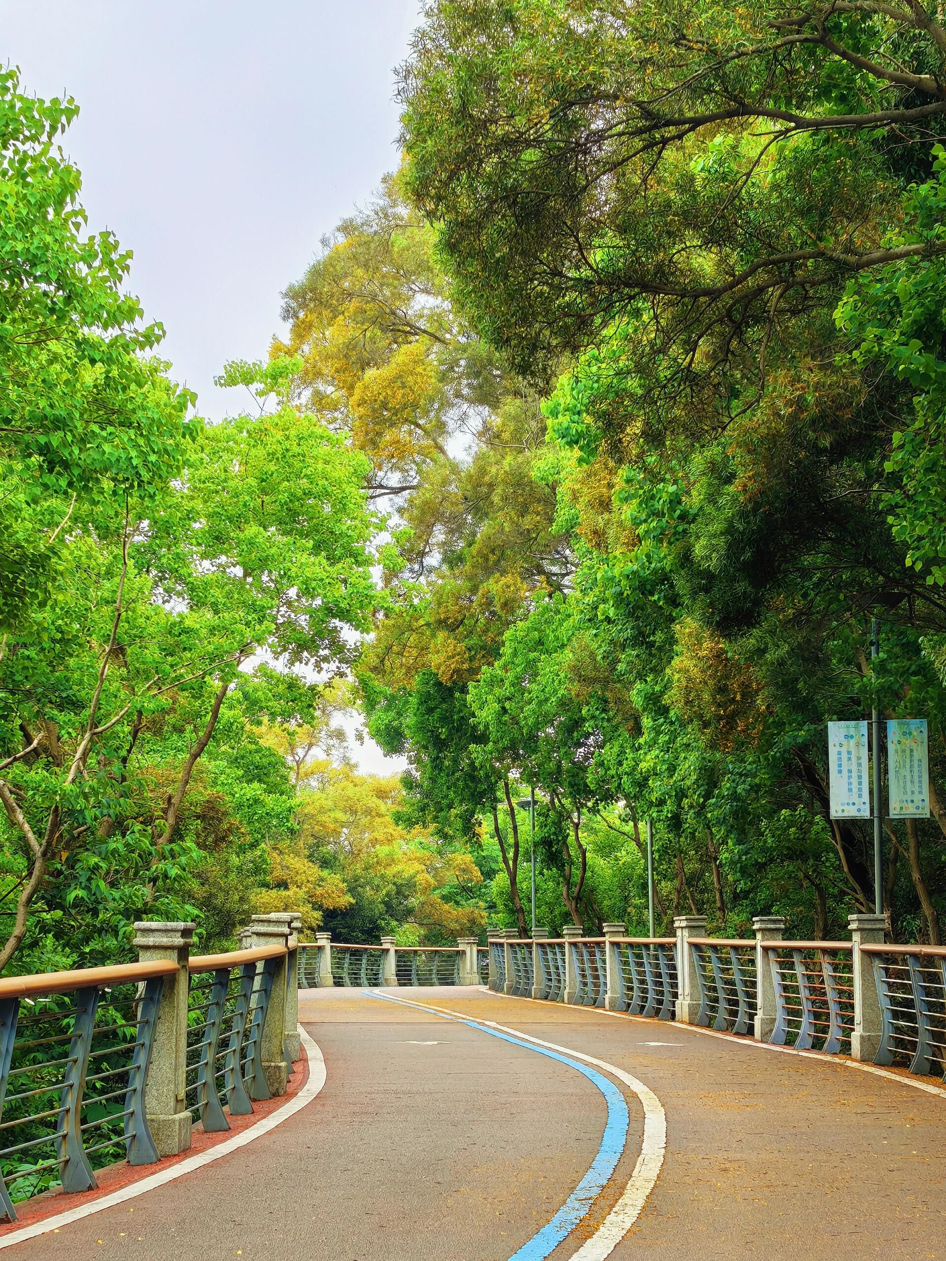 天马山公园旅行图片