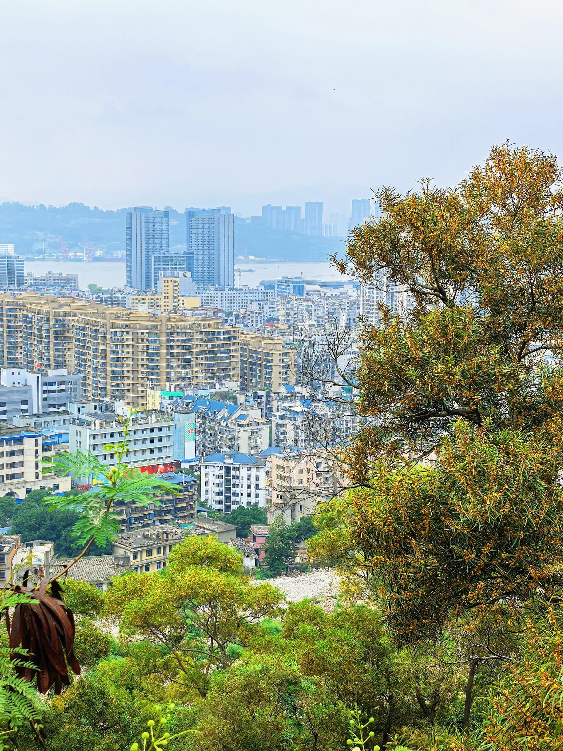 天马山公园旅行图片 3