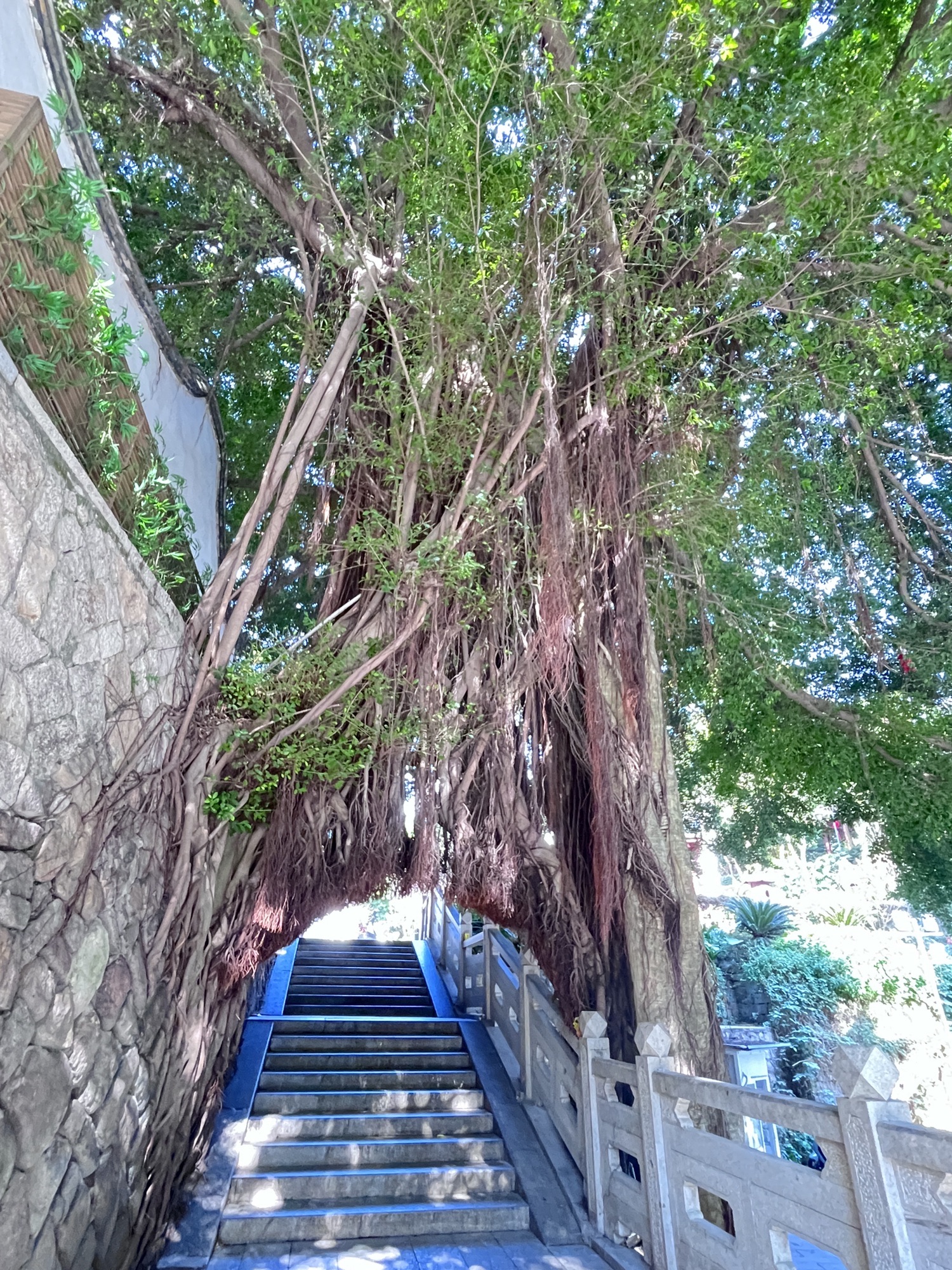 乌塔公园旅行图片 3