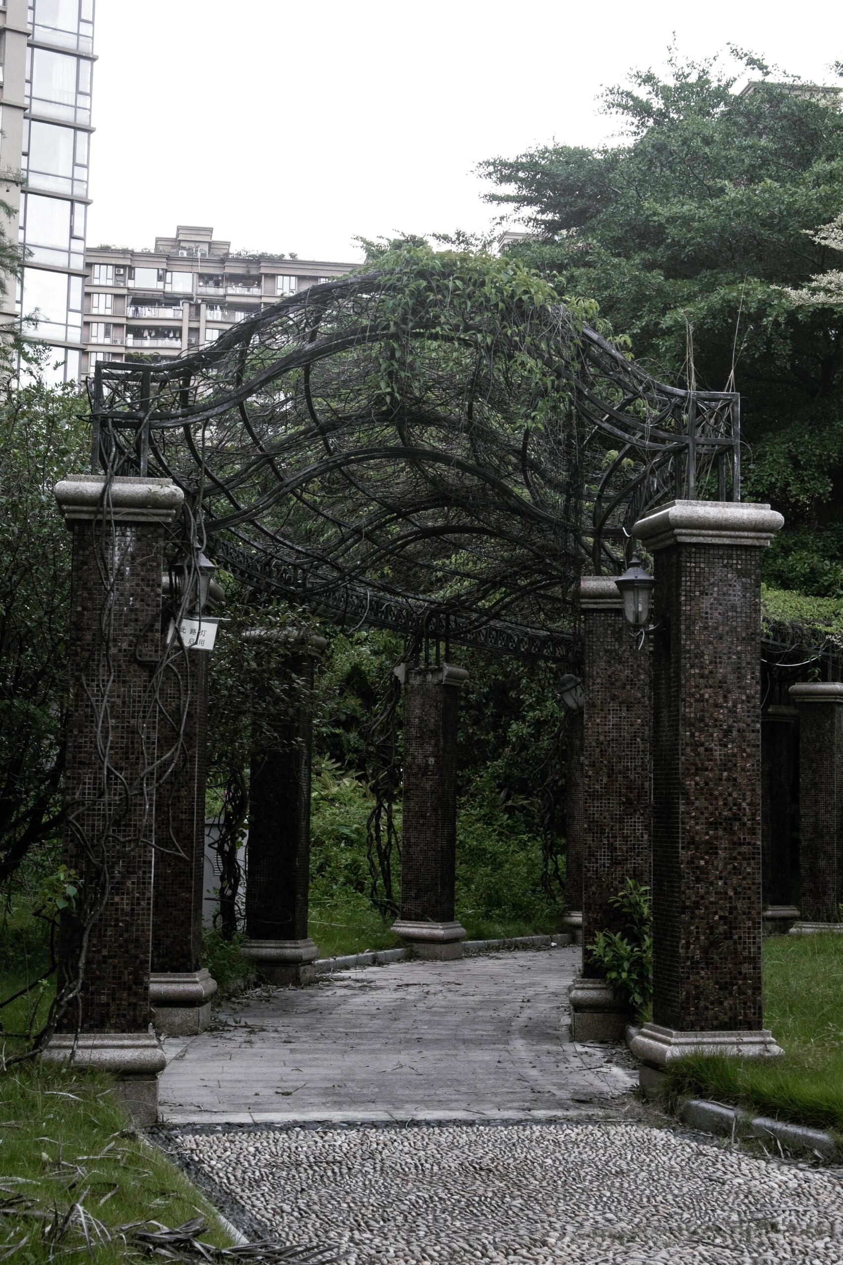 维多利亚公园旅行图片 1