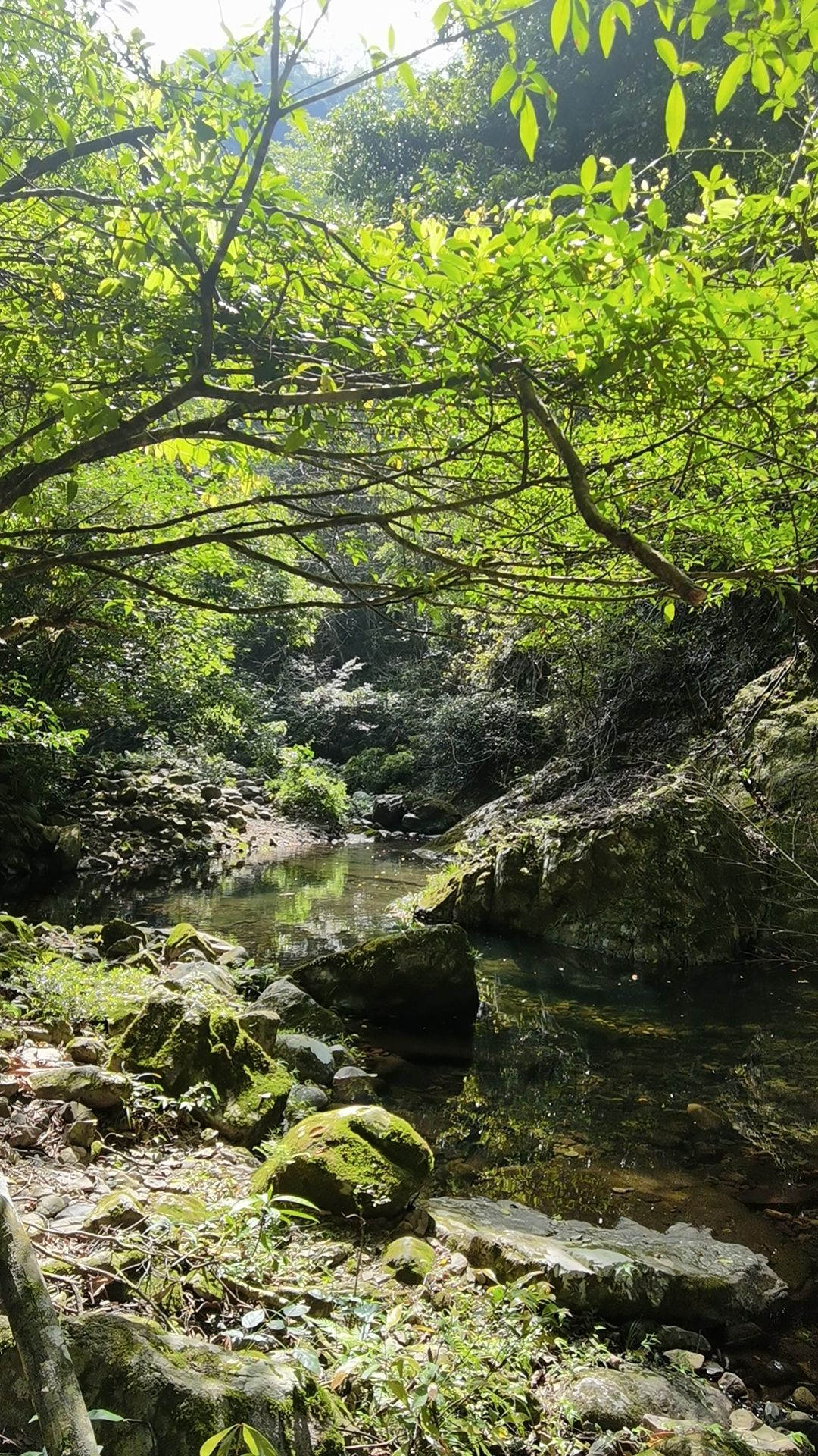 百漈沟生态景区旅行图片 3
