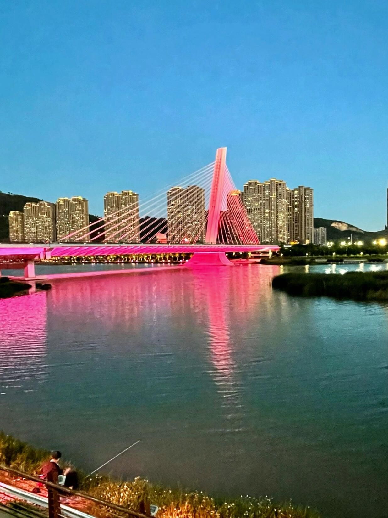龙江公园旅行图片 1