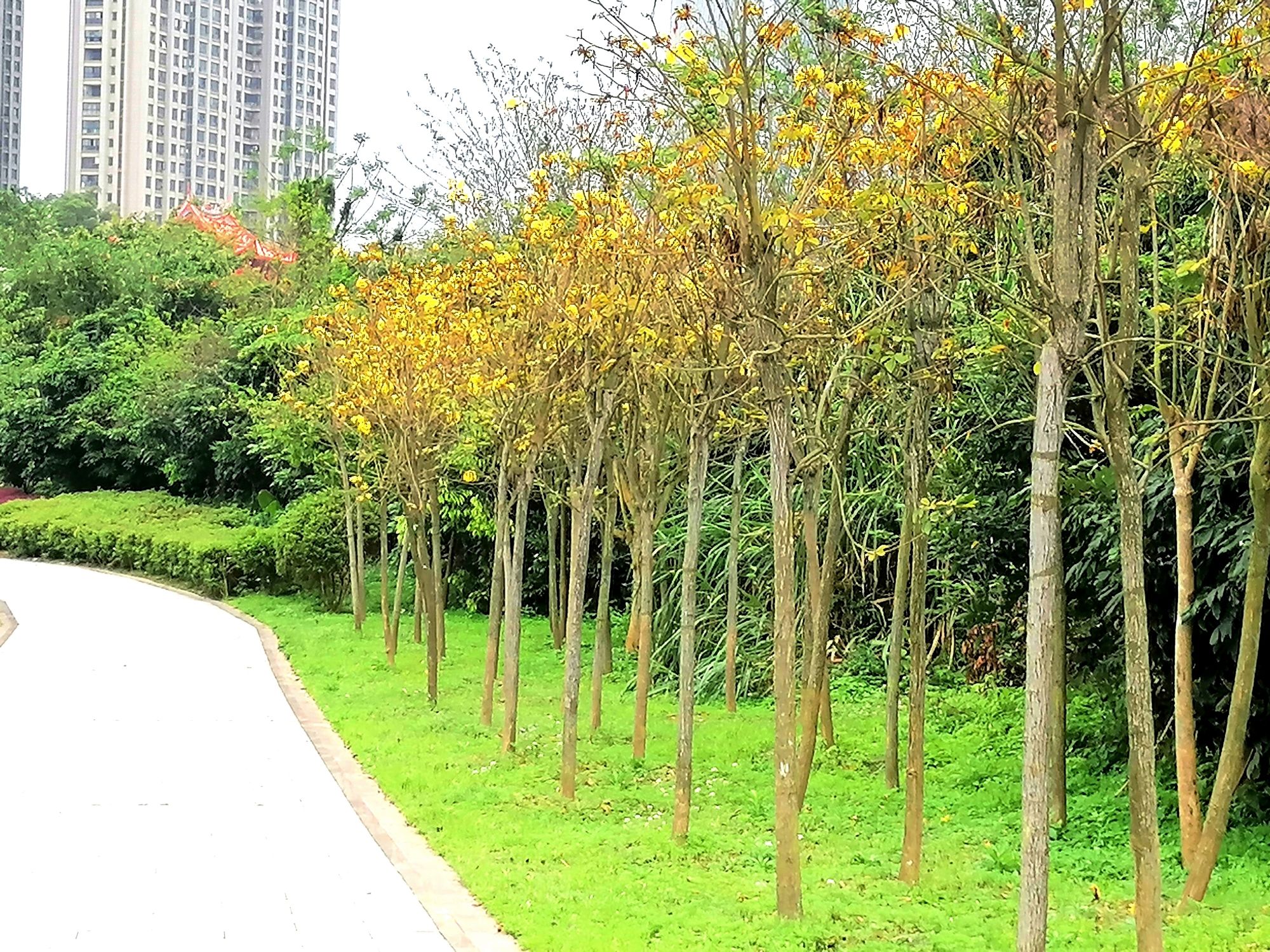 闽侯江滨生态园旅行图片 2