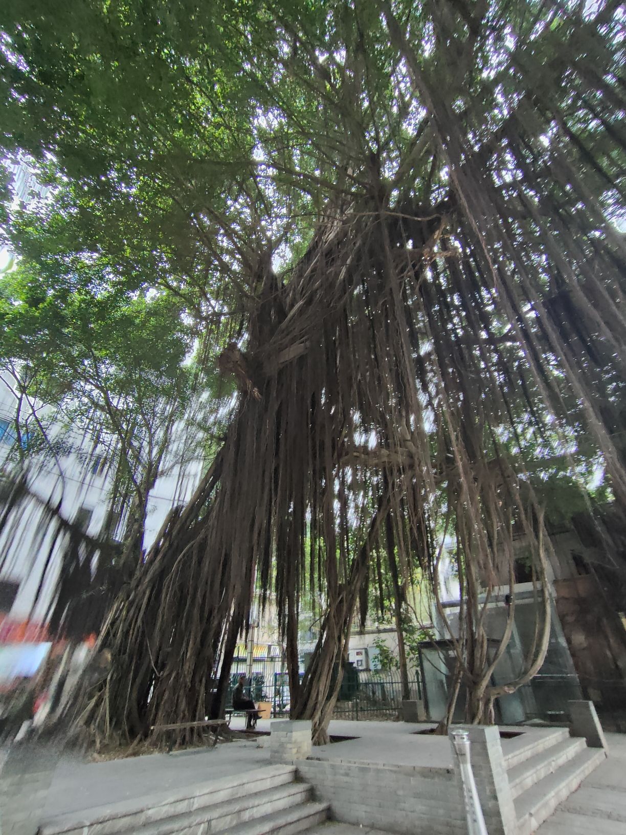 鼓楼前公园旅行图片 3