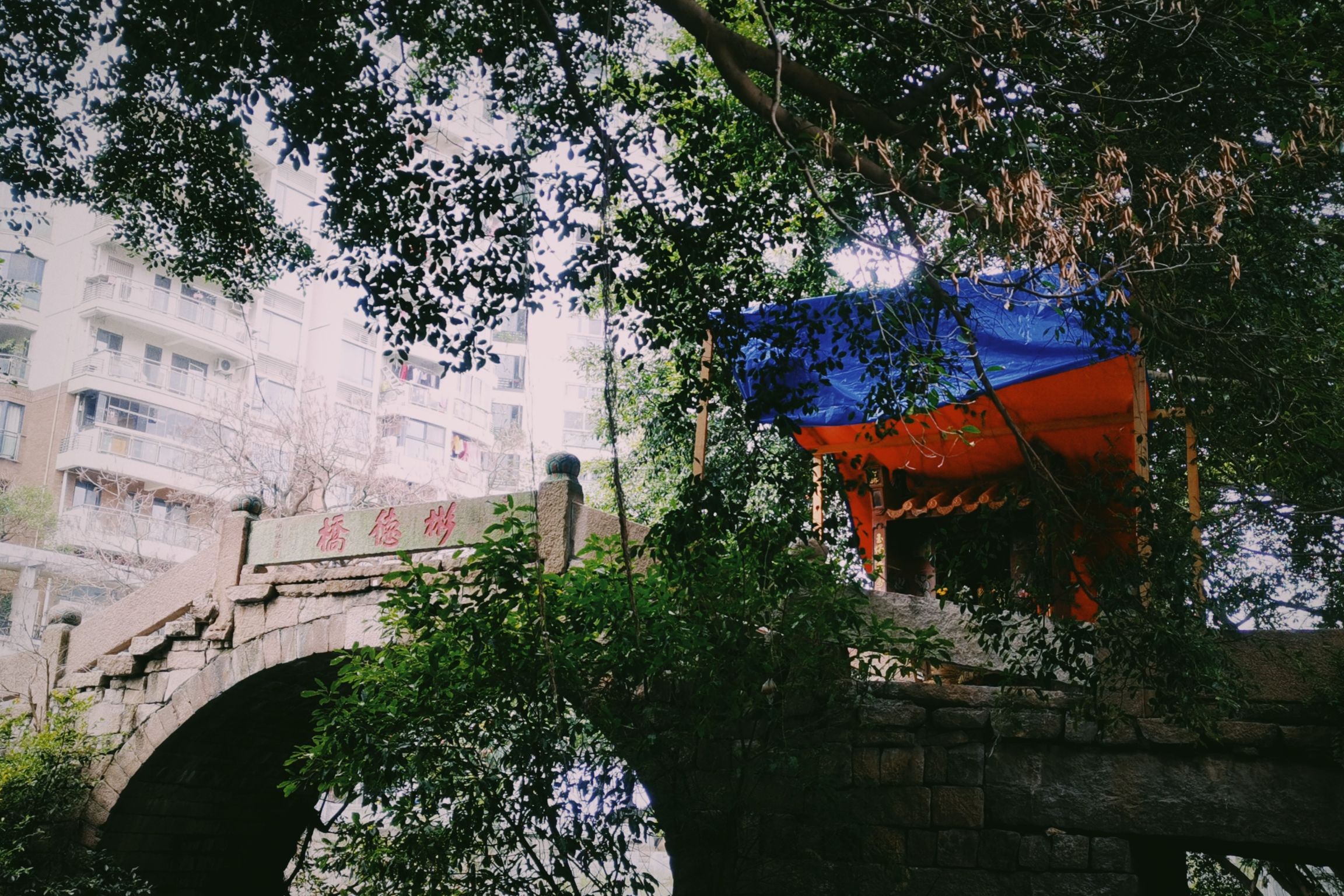彬德桥旅行图片 2
