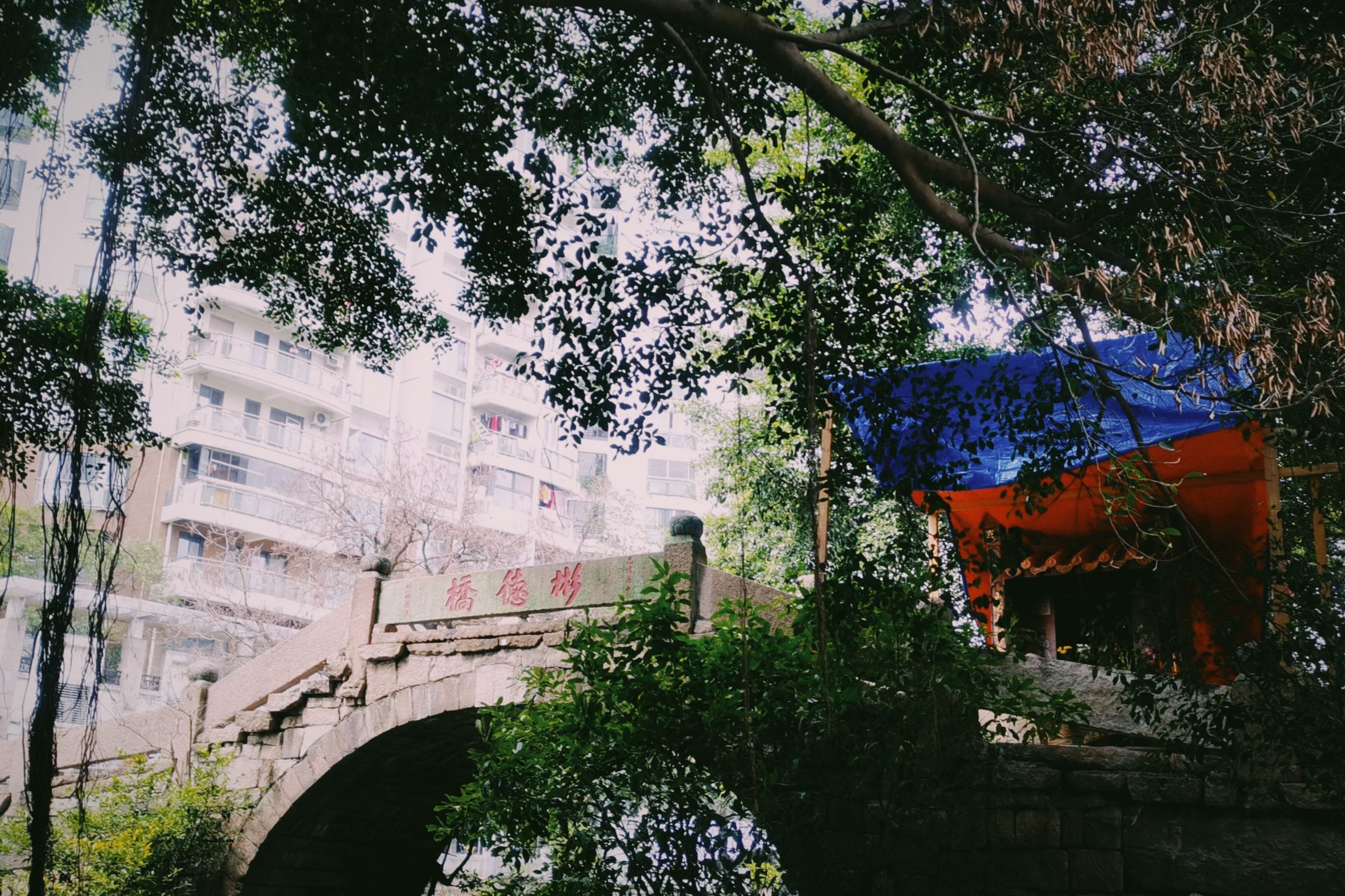 彬德桥旅行图片 1