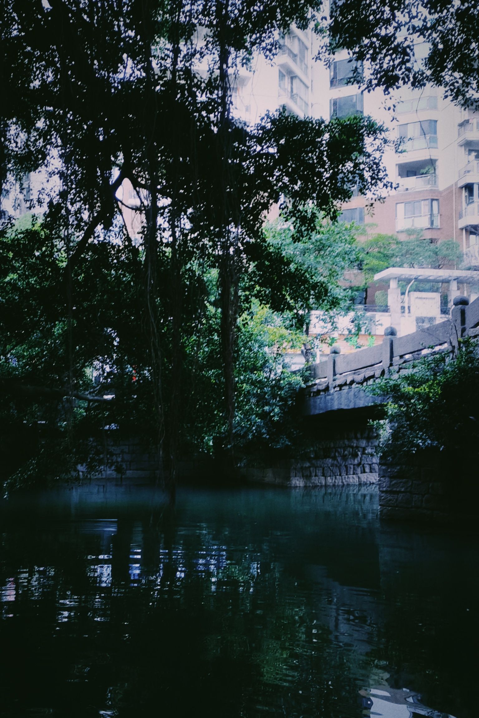 彬德桥旅行图片 3
