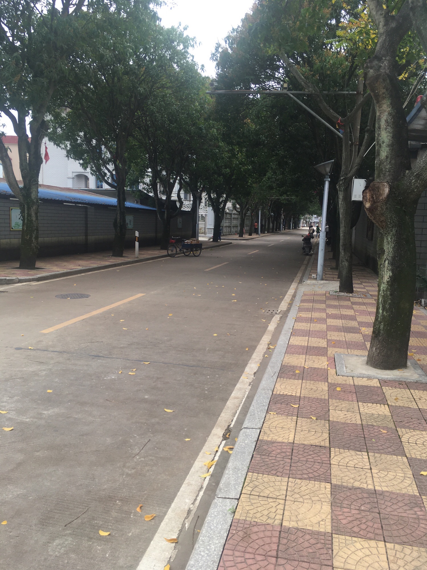 西边公园旅行图片 2