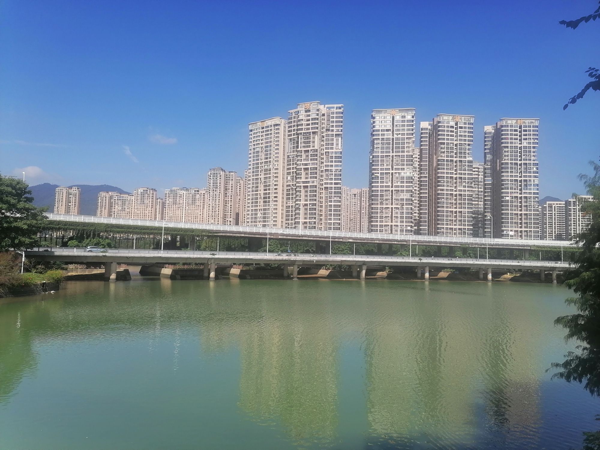 琴亭湖公园旅行图片 2