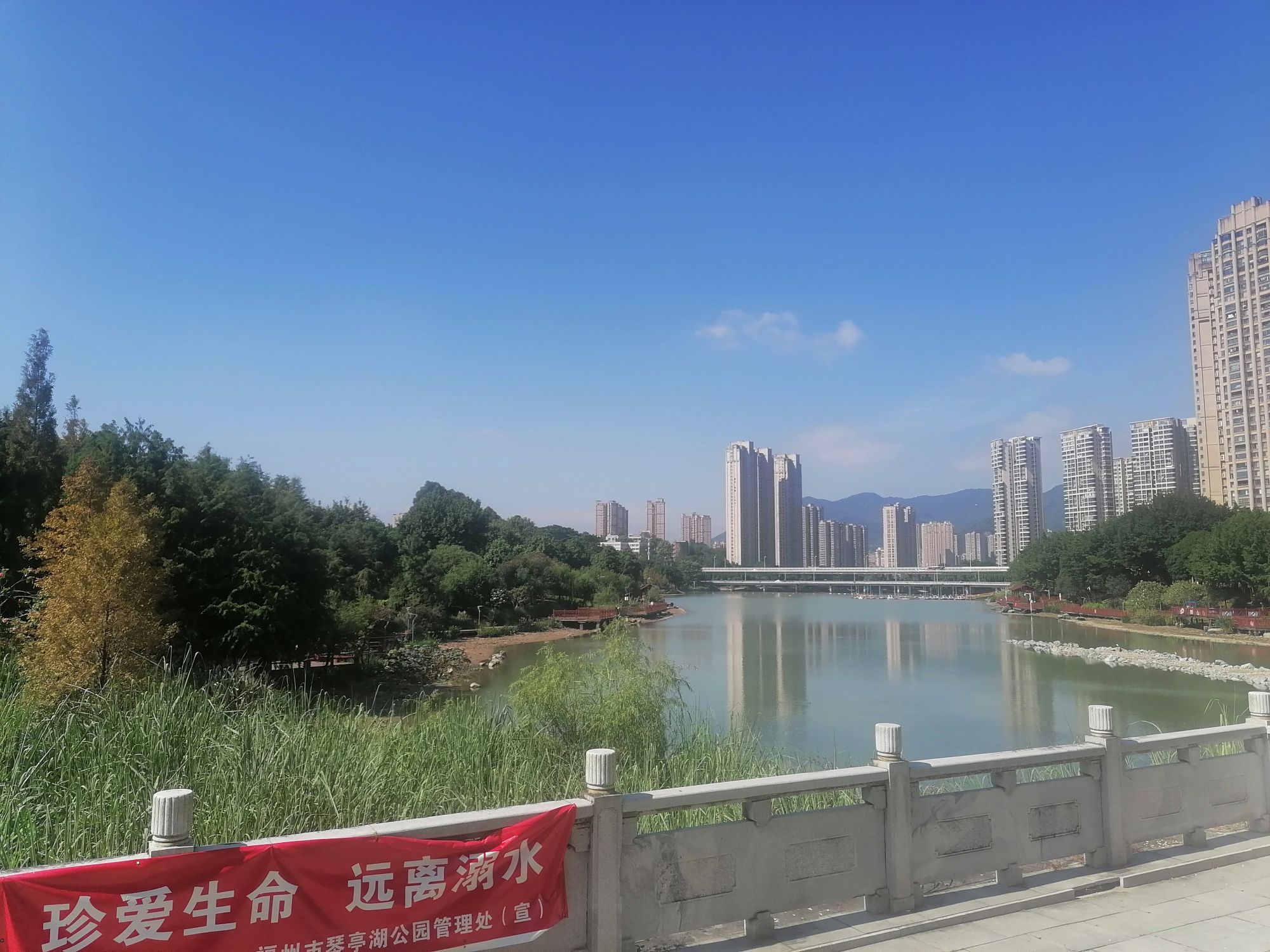 琴亭湖公园旅行图片 3