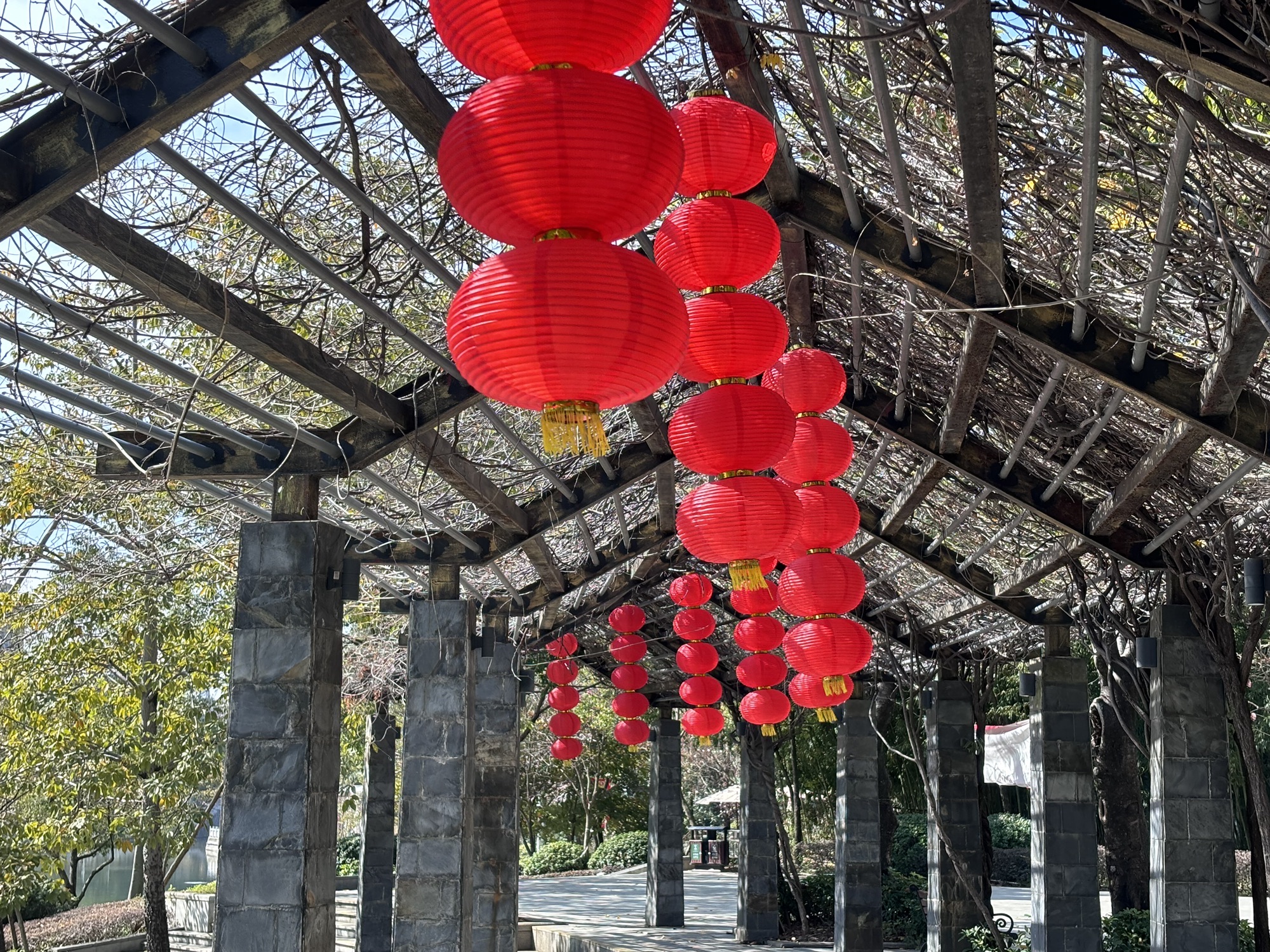 琴亭湖公园旅行图片 1