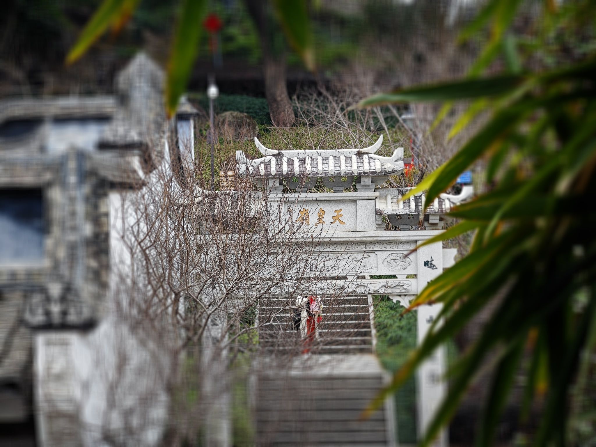 第一山景区旅行图片 3