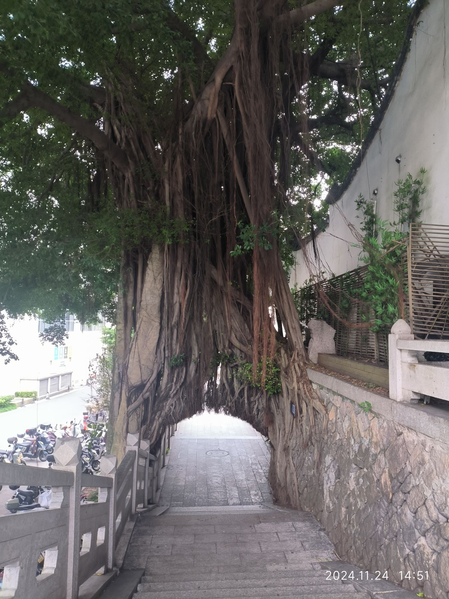 第一山景区旅行图片 2