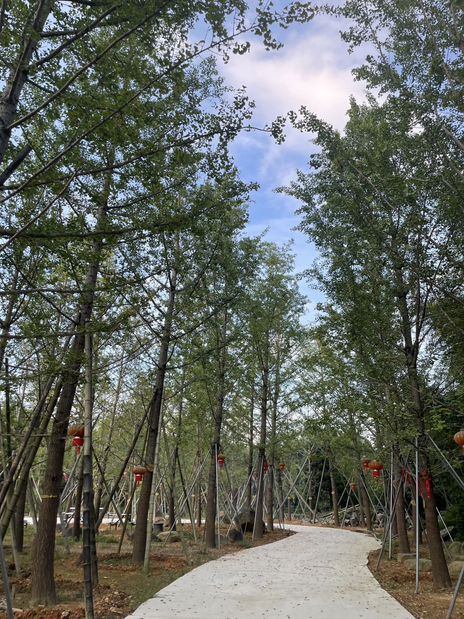 鹅峰寺旅行图片 2