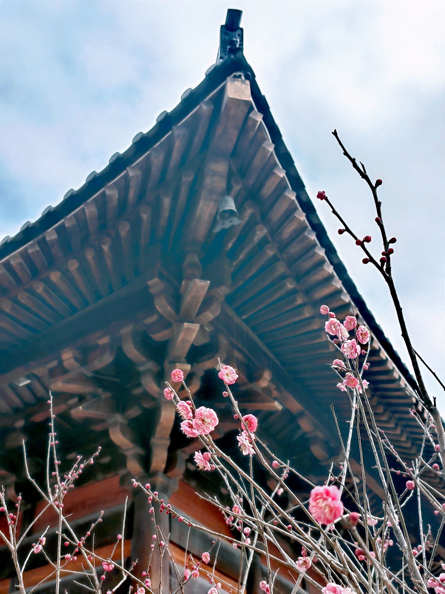 鹅峰寺旅行图片