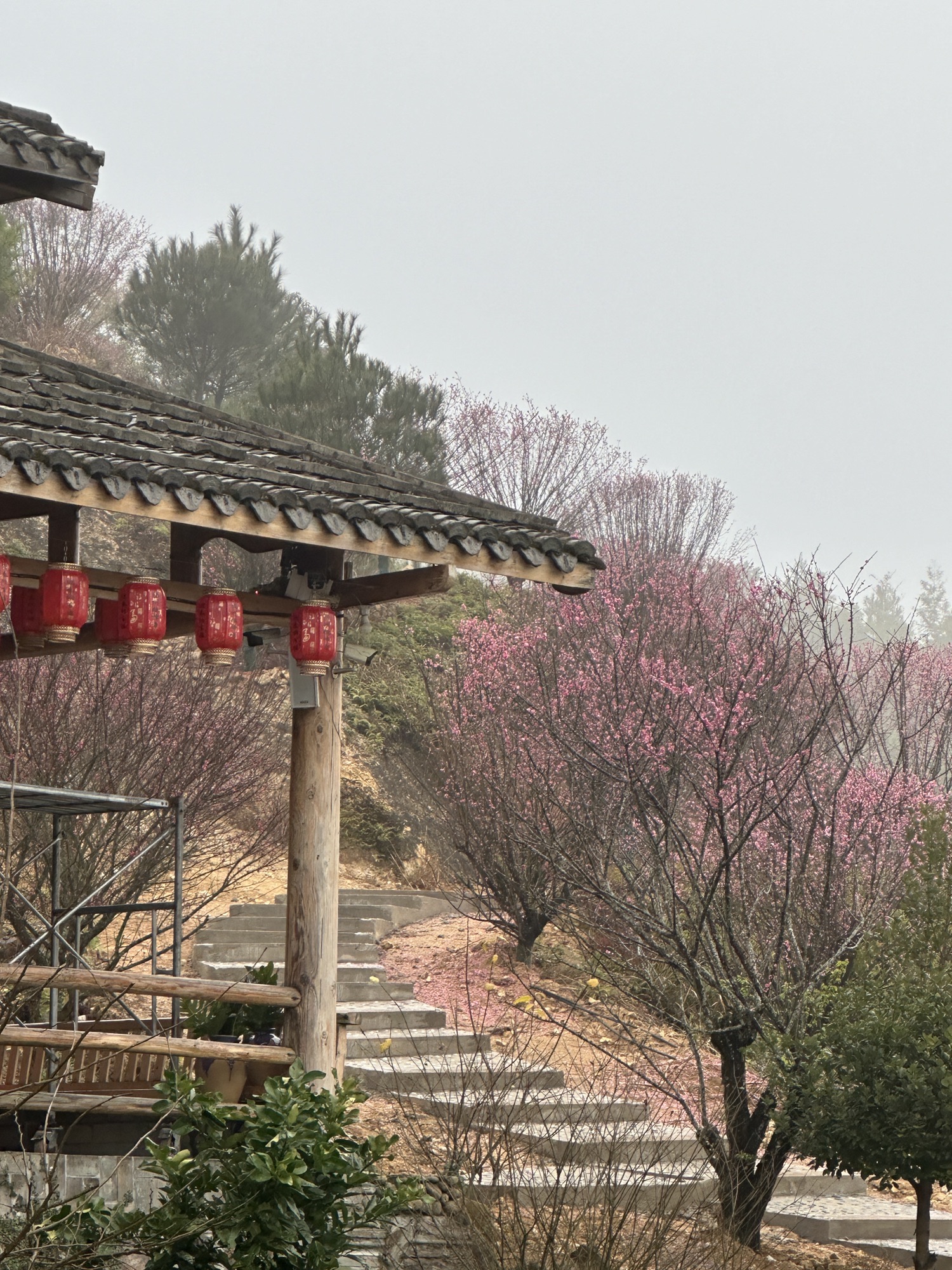 鹅峰寺旅行图片
