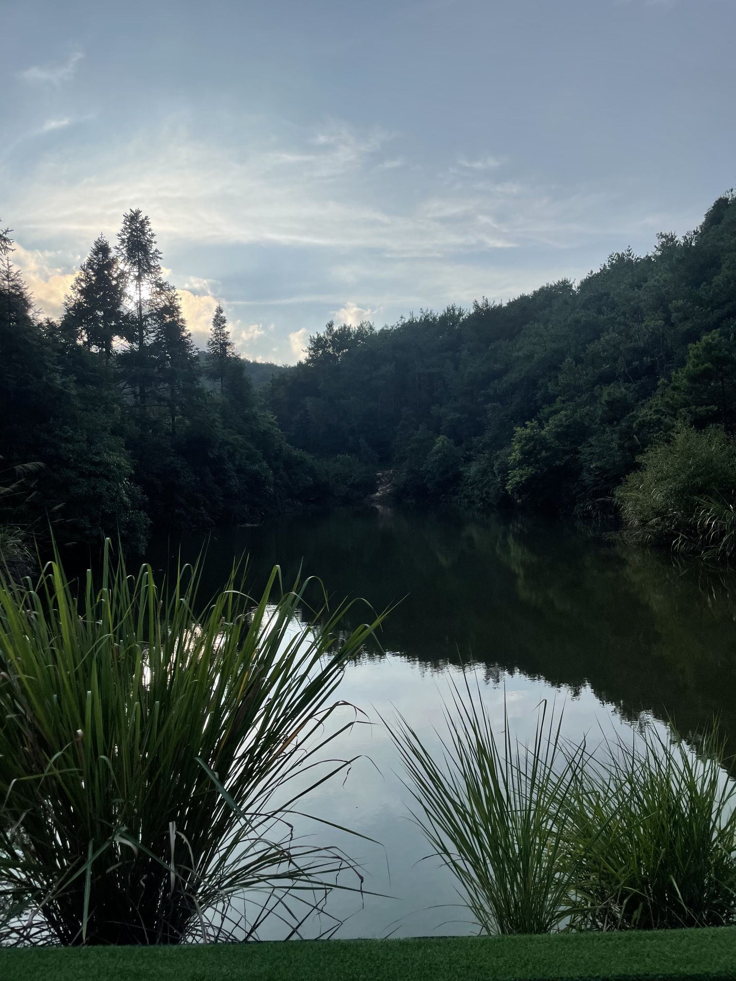鹅峰寺旅行图片 3
