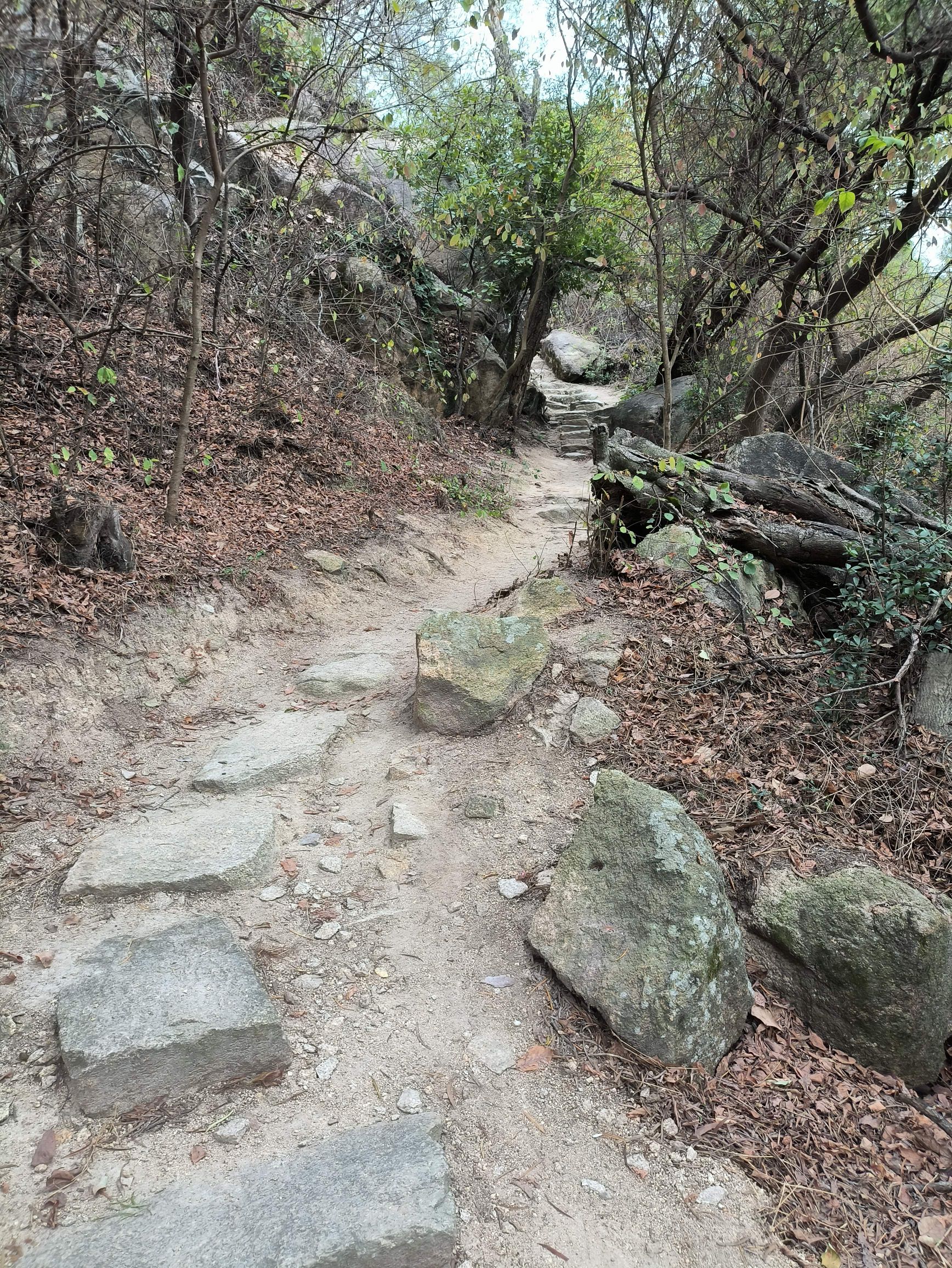 金榜公园旅行图片 3