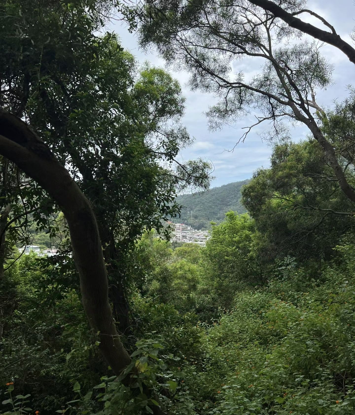 金榜公园旅行图片 3