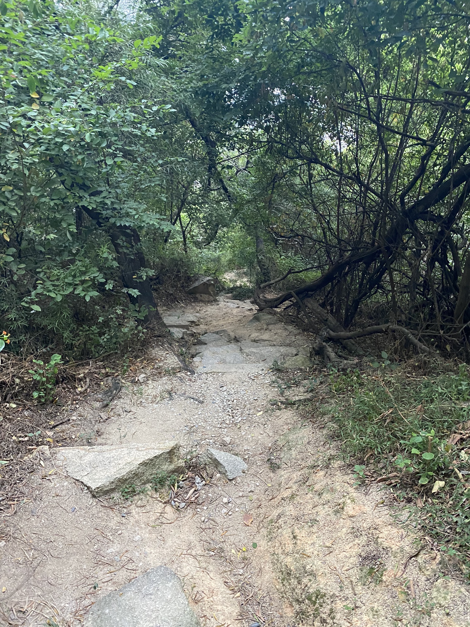 金榜公园旅行图片 2