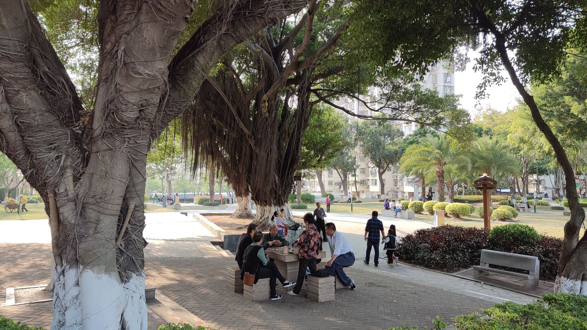 敬贤公园旅行图片 3