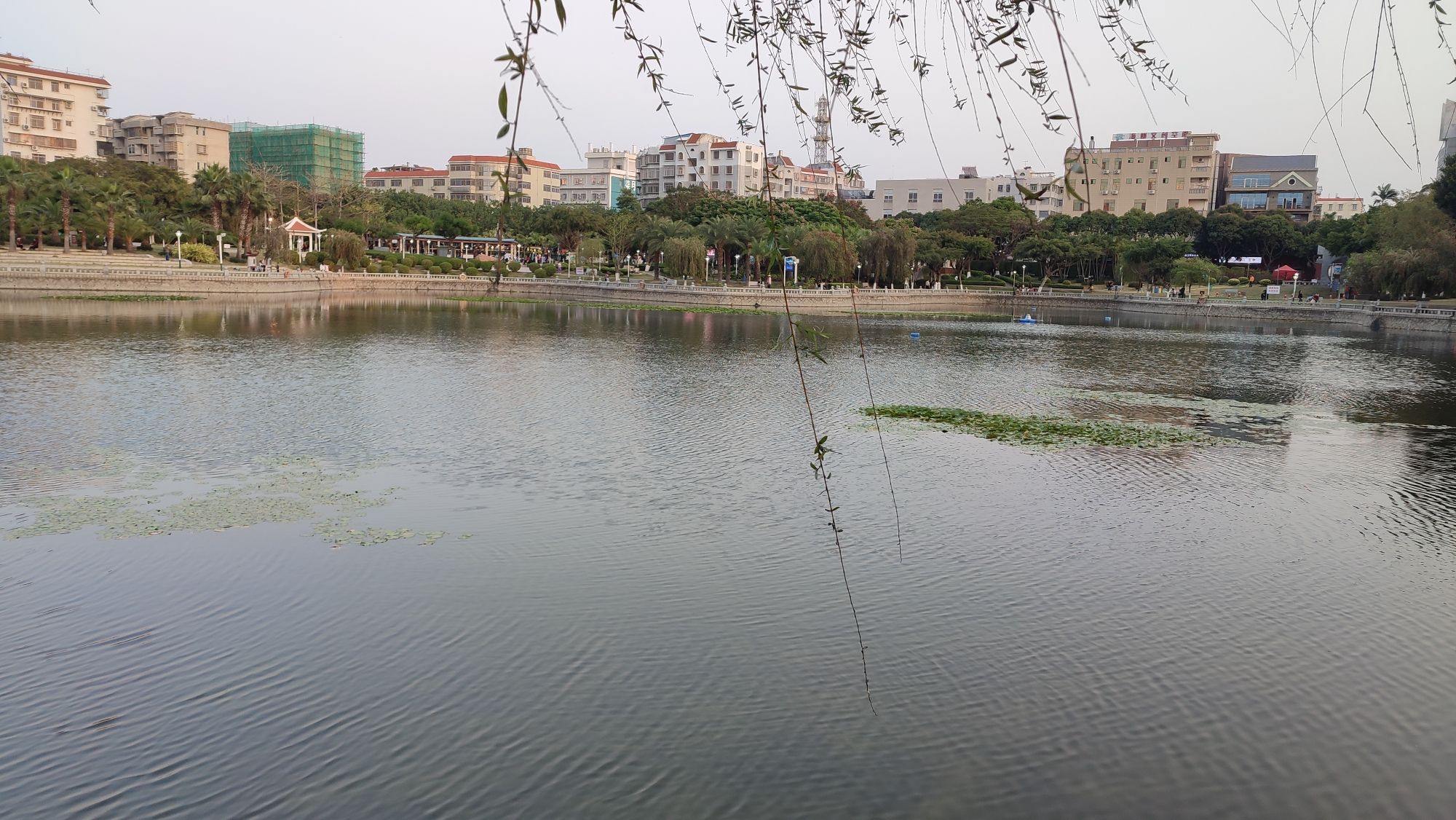 敬贤公园旅行图片 1