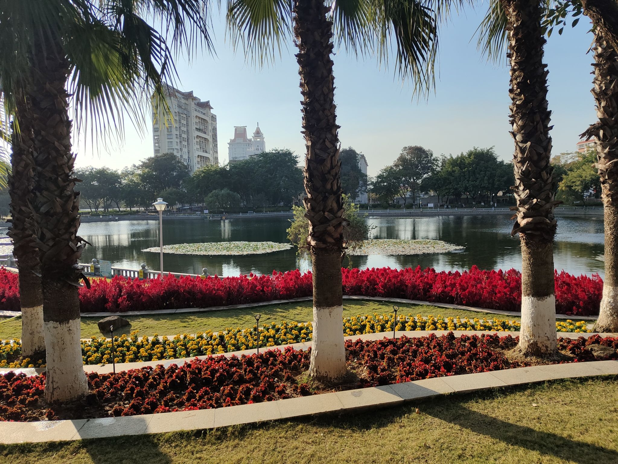 敬贤公园旅行图片 3