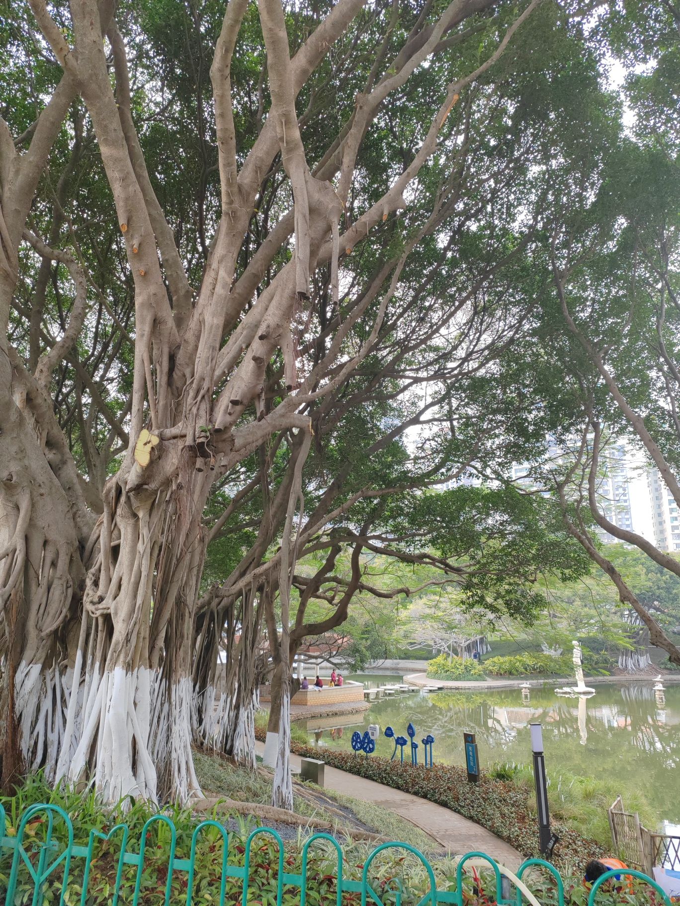 莲花公园旅行图片 2