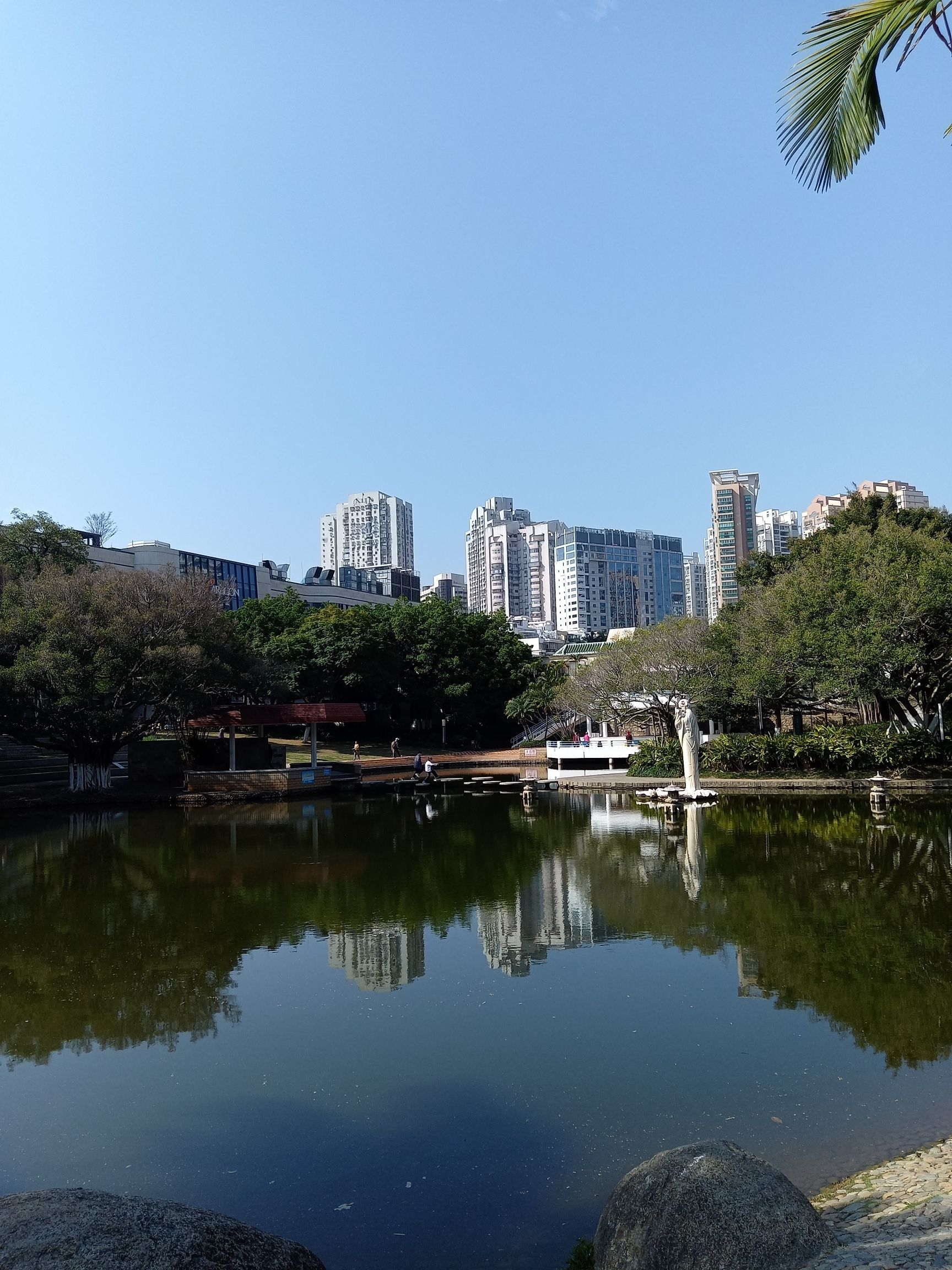 莲花公园旅行图片 2