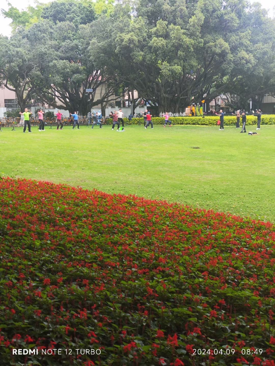 莲花公园旅行图片 3