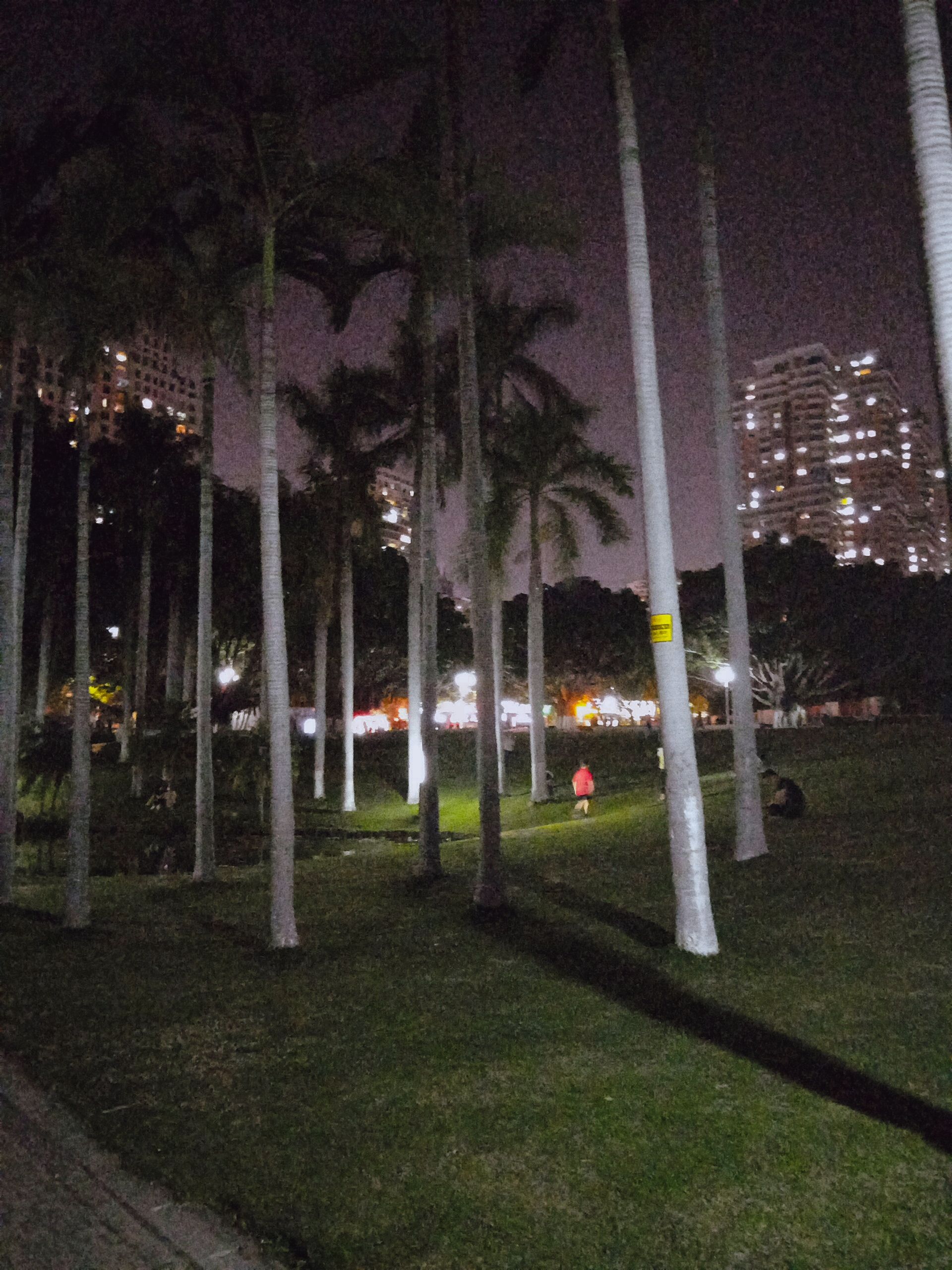莲花公园旅行图片 1