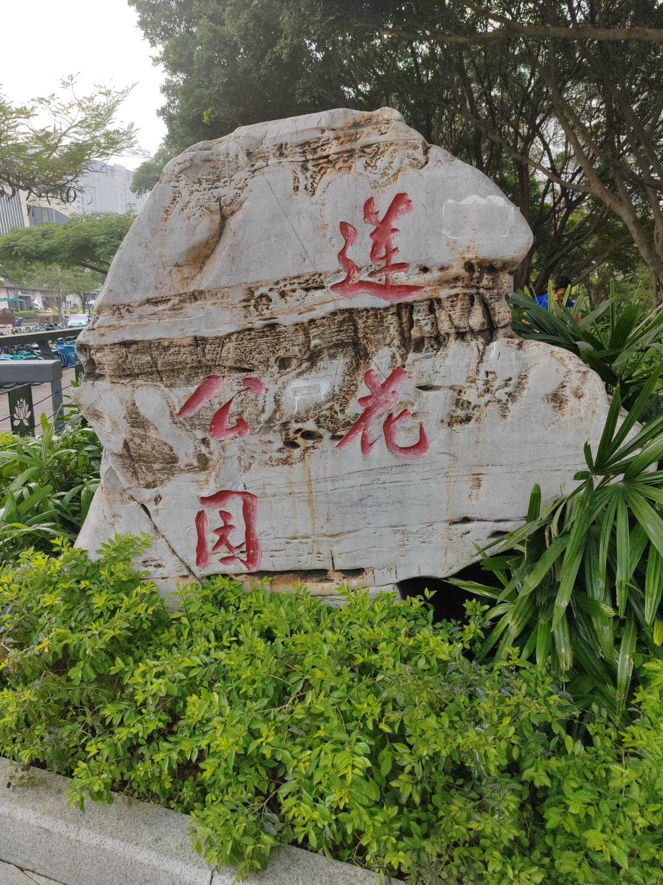 莲花公园旅行图片 1