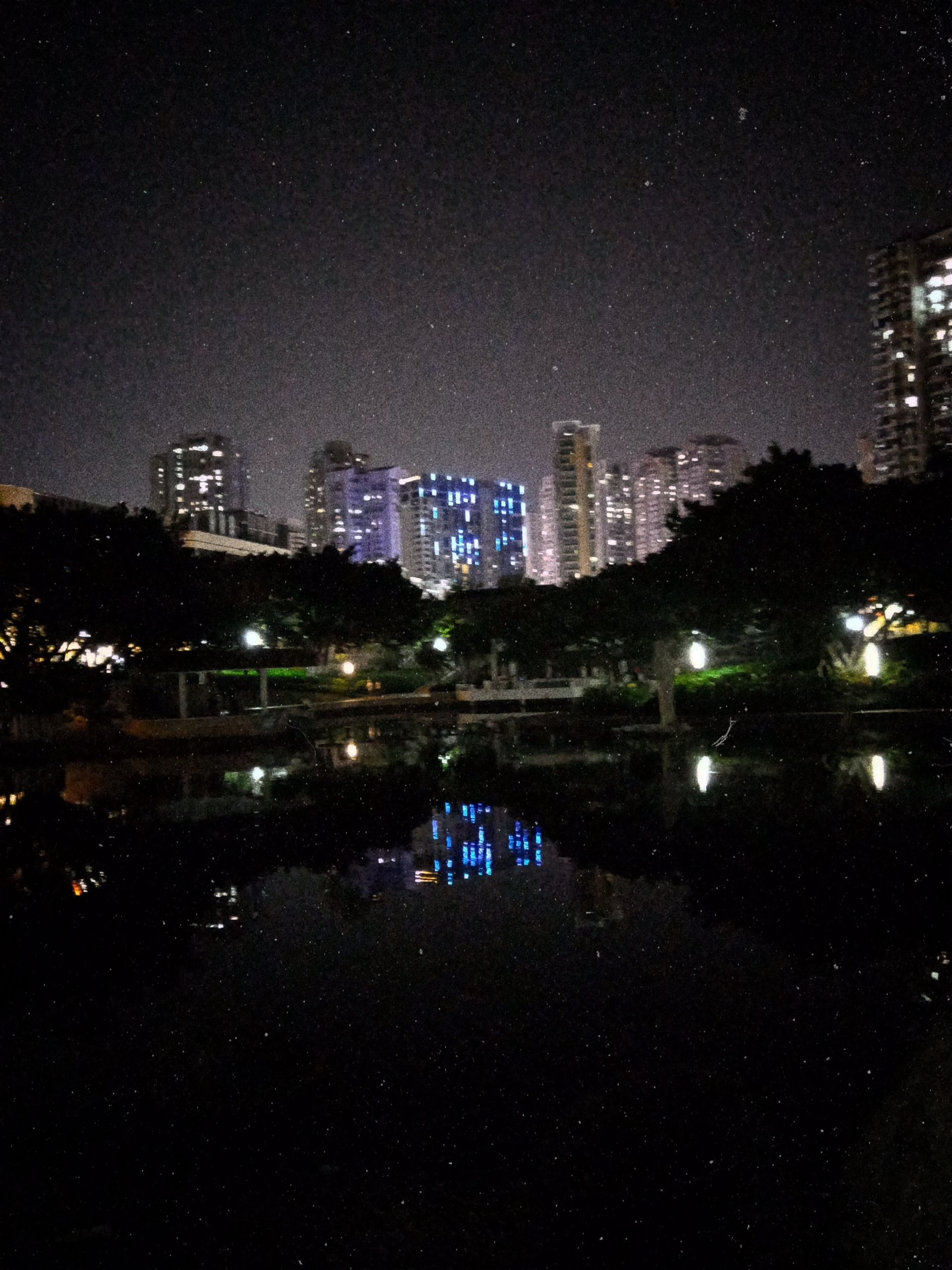 莲花公园旅行图片 3