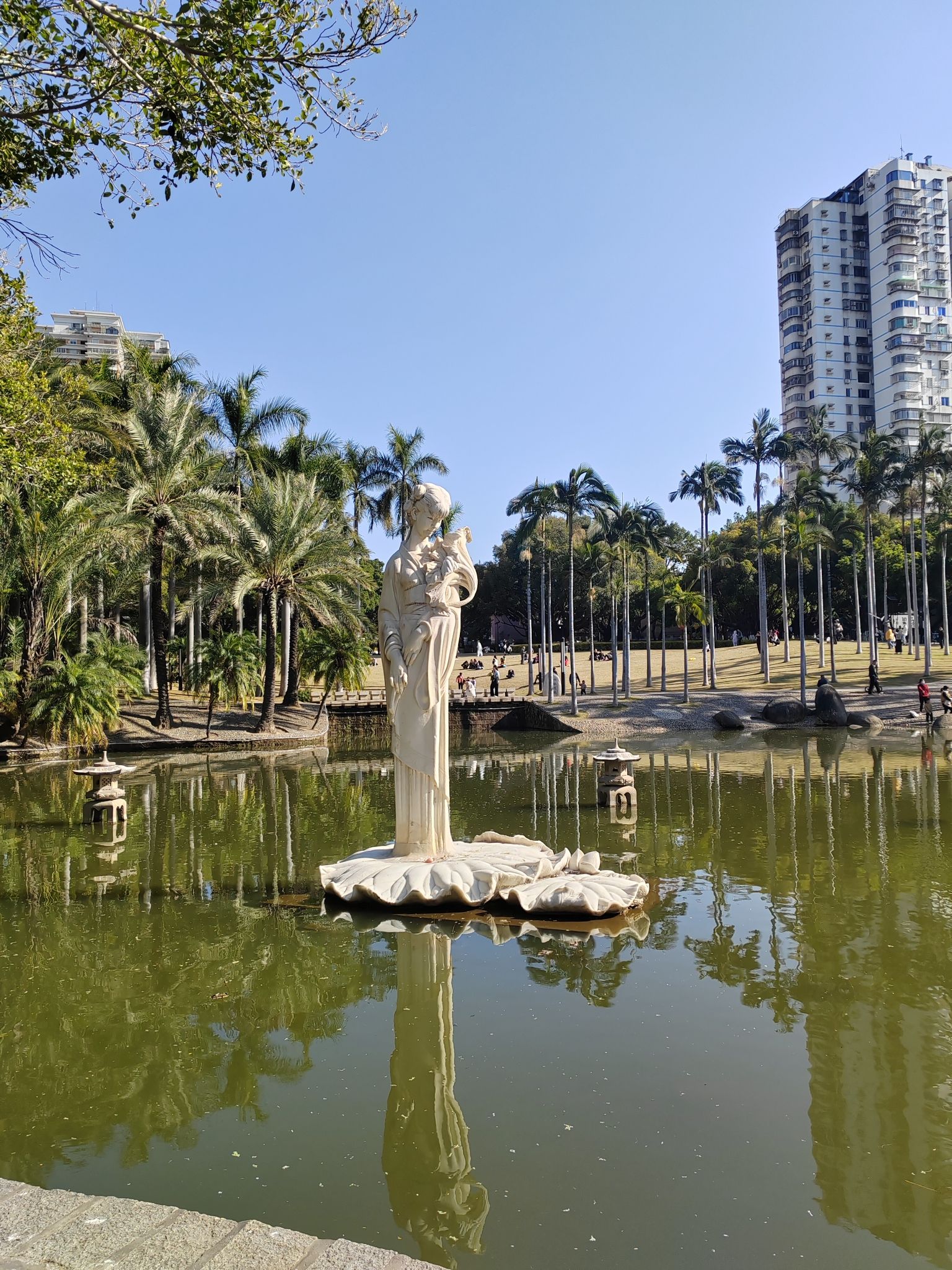 莲花公园旅行图片 1