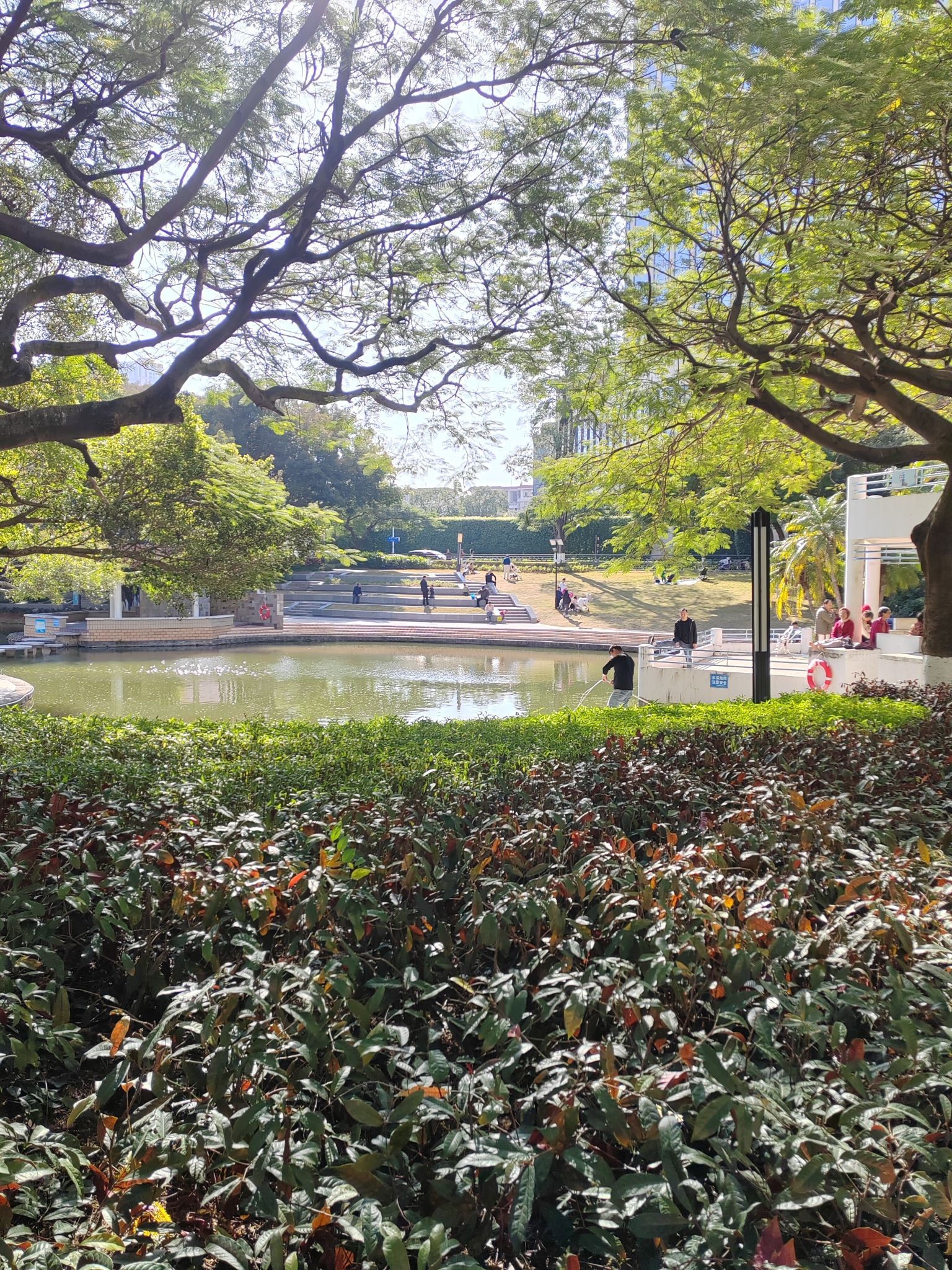 莲花公园旅行图片 3